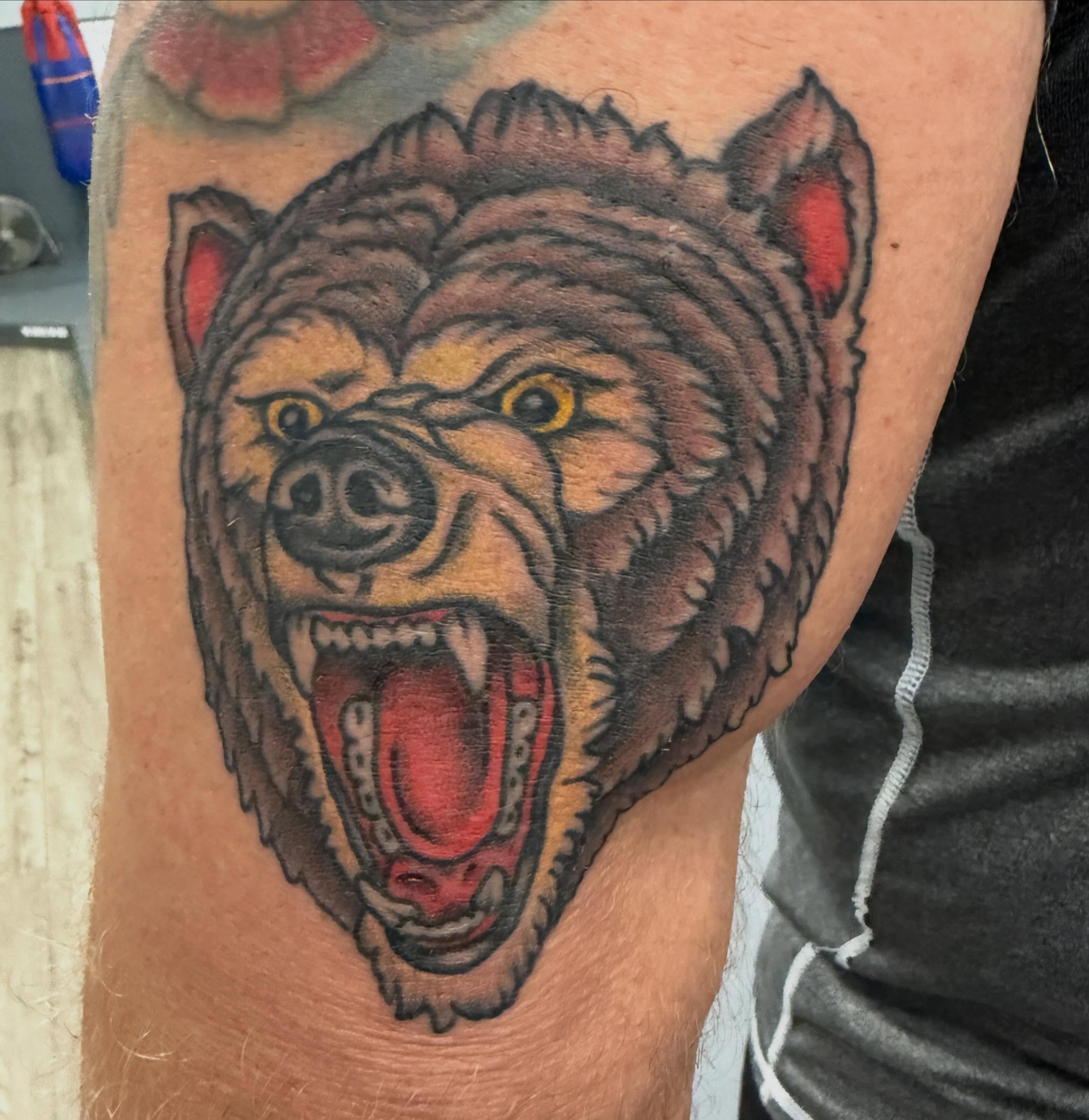 Angry bear American traditional tattoo on the forearm by Tony Beuke