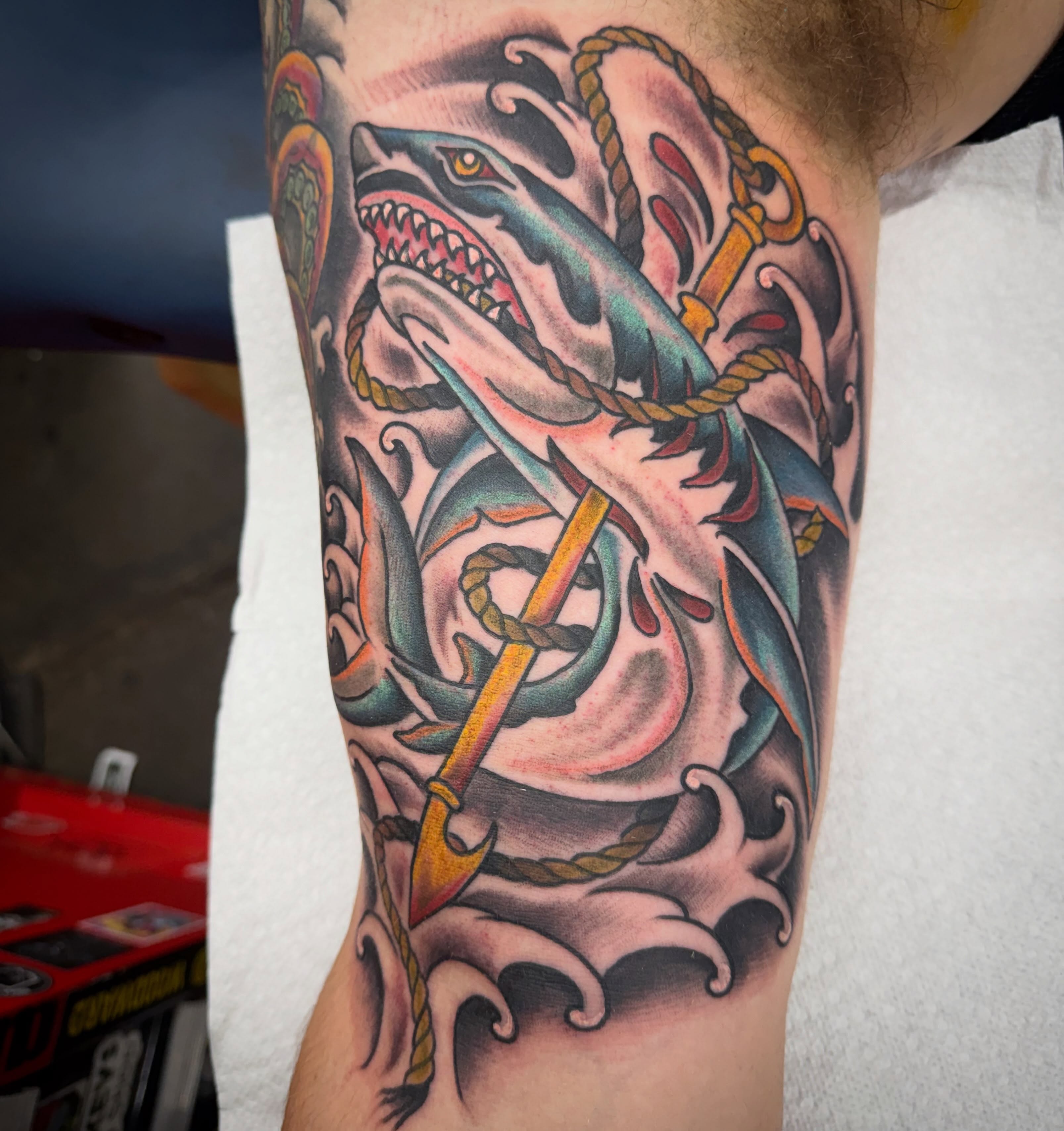 Shark and anchor American traditional tattoo on the forearm by Jake Horstman, Dayton, Ohio