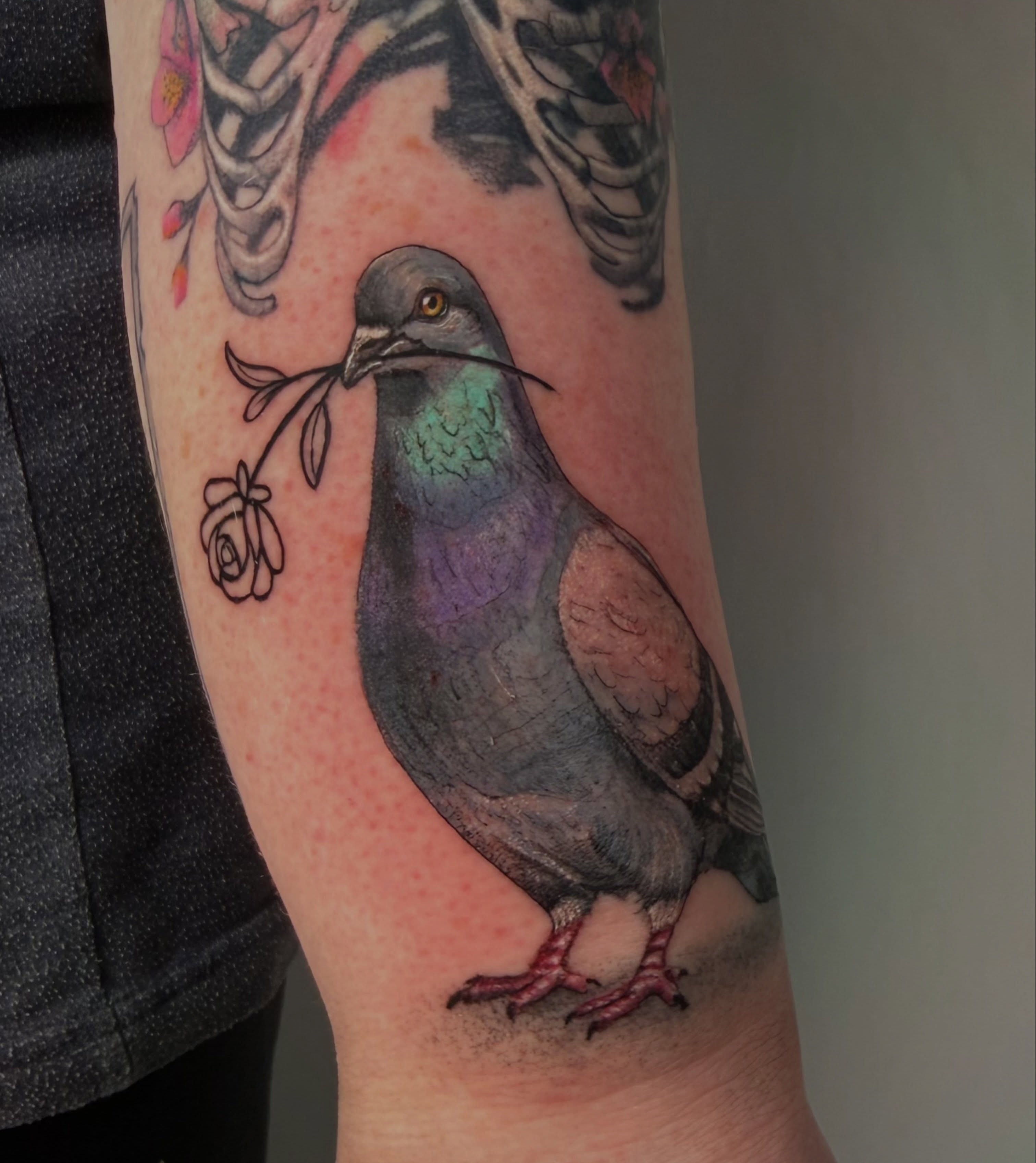 Pigeon realism tattoo on the forearm by Fabian Hellberg