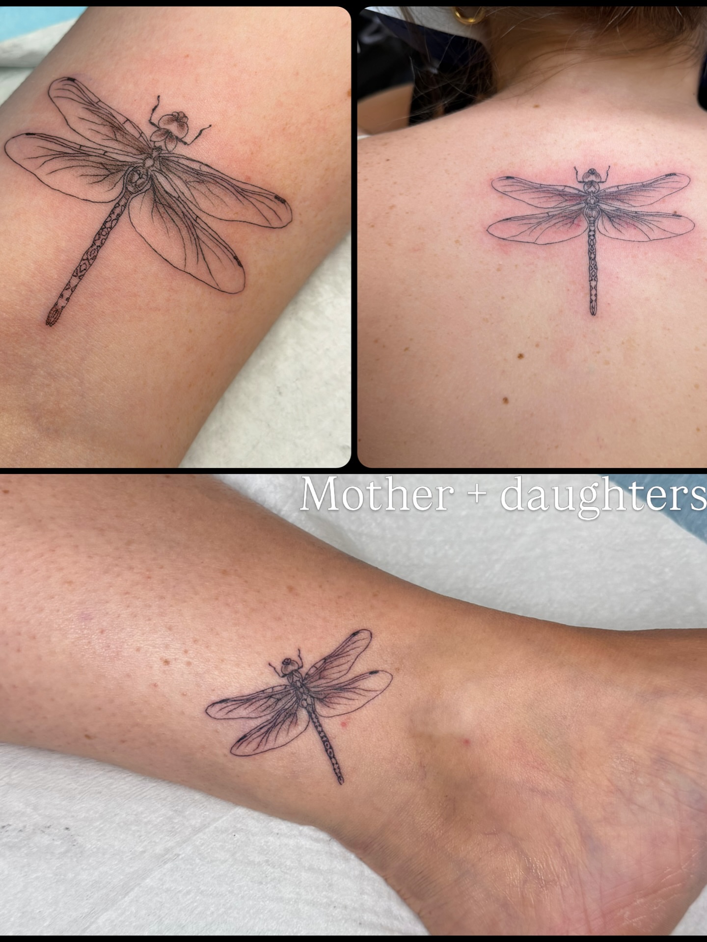 Dragonfly black and grey tattoo on the upper arm by Dani Fried Tattoos
