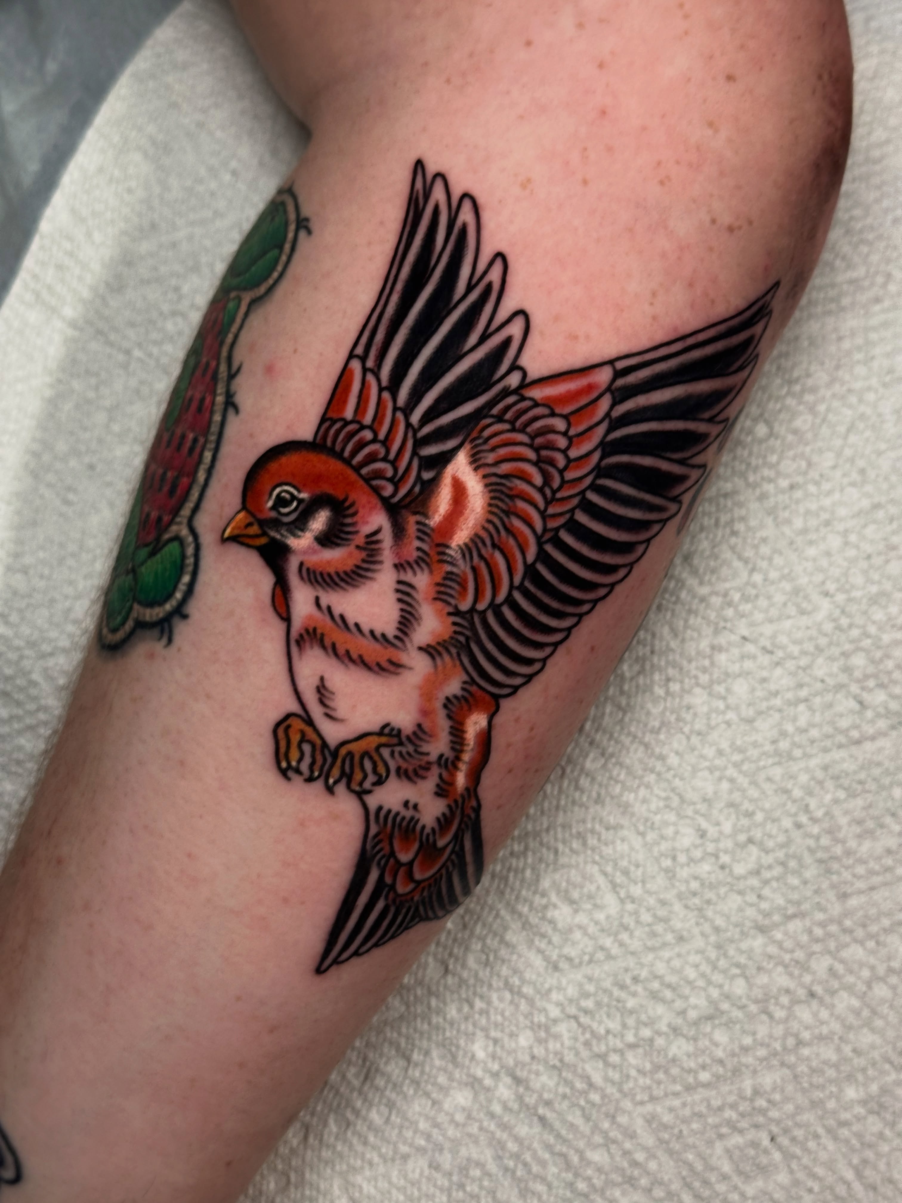 Bird American traditional tattoo on the forearm by 🕸🎚 𝑺𝑨𝑵𝑻𝑰 𝑺𝑬𝑽𝑬𝑵𝑺 🎚🕸🇫🇯