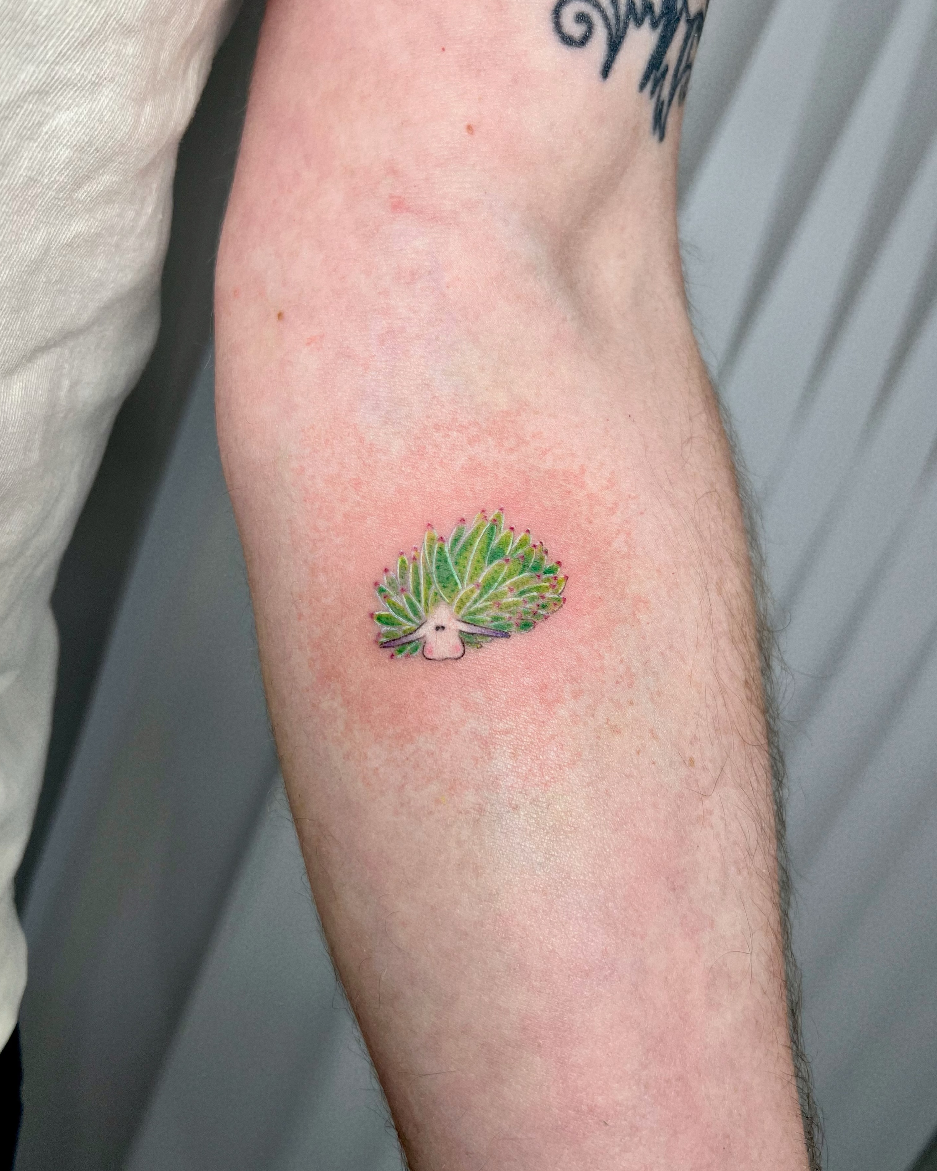 Peacock feather dotwork tattoo on the forearm by Soy 🫛