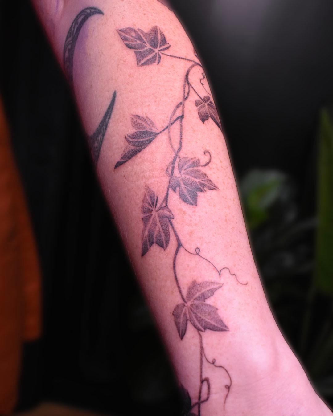 Ivy vine black and grey tattoo on the forearm by Erin Isaacs