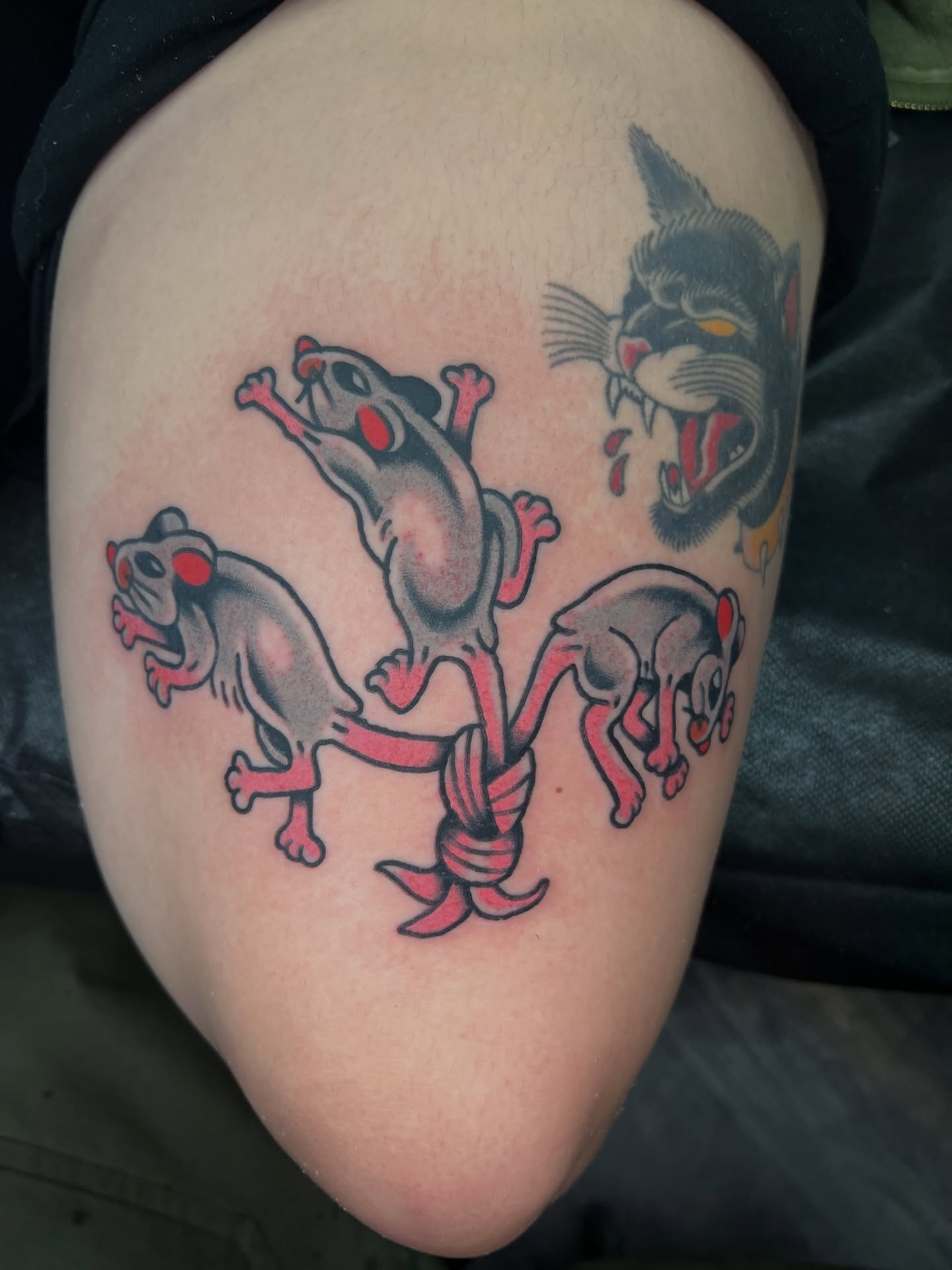 Three cats American traditional tattoo on the thigh by 🍊Harvey Perez 🍊, Deerfield Beach, Florida