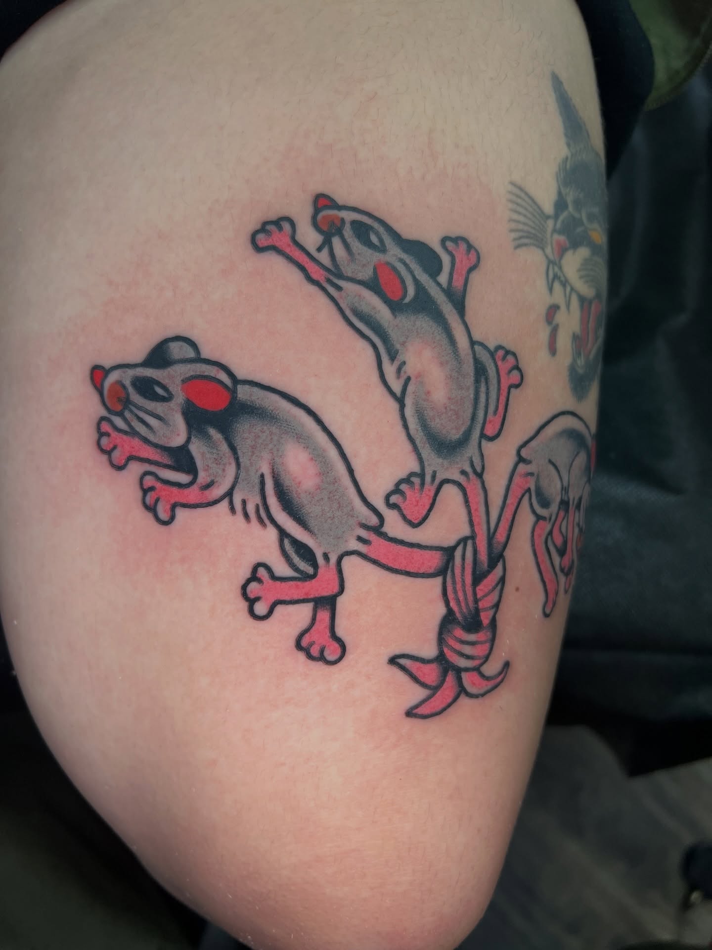 Three rats American traditional tattoo on the shoulder by 🍊Harvey Perez 🍊, Deerfield Beach, Florida