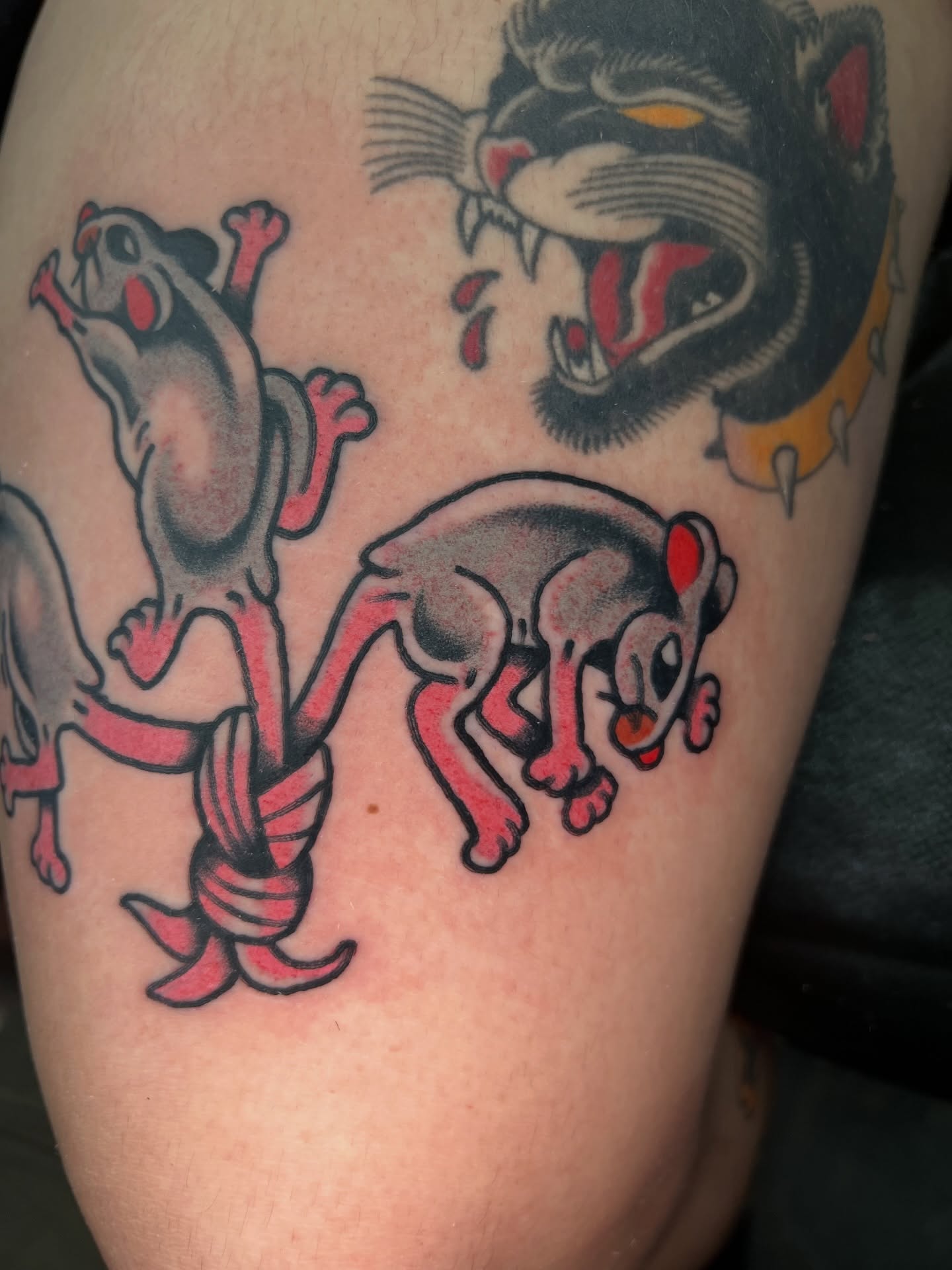 Cat and mouse American traditional tattoo on the forearm by 🍊Harvey Perez 🍊, Deerfield Beach, Florida