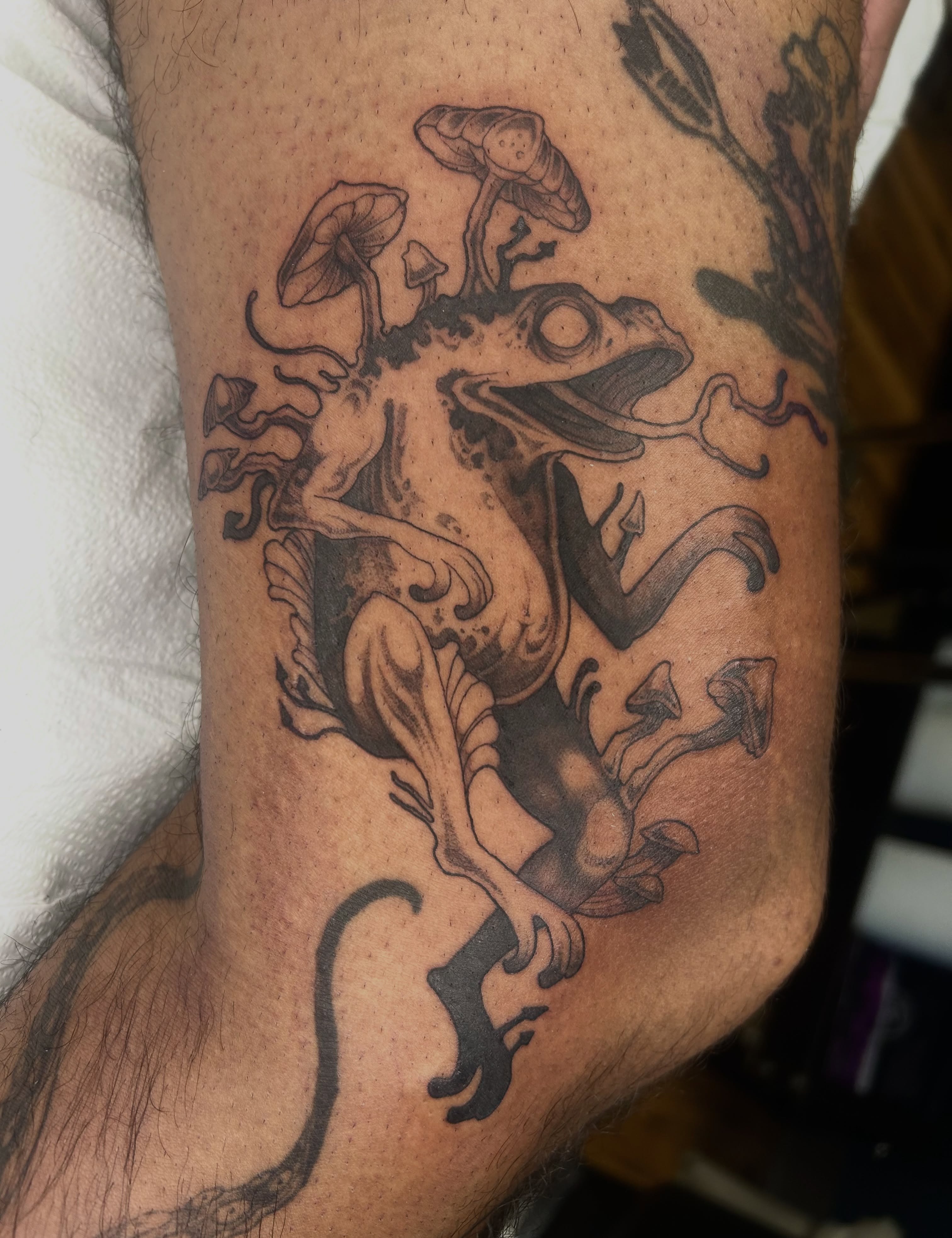 Frog with mushrooms black and grey tattoo on the forearm by Magnus