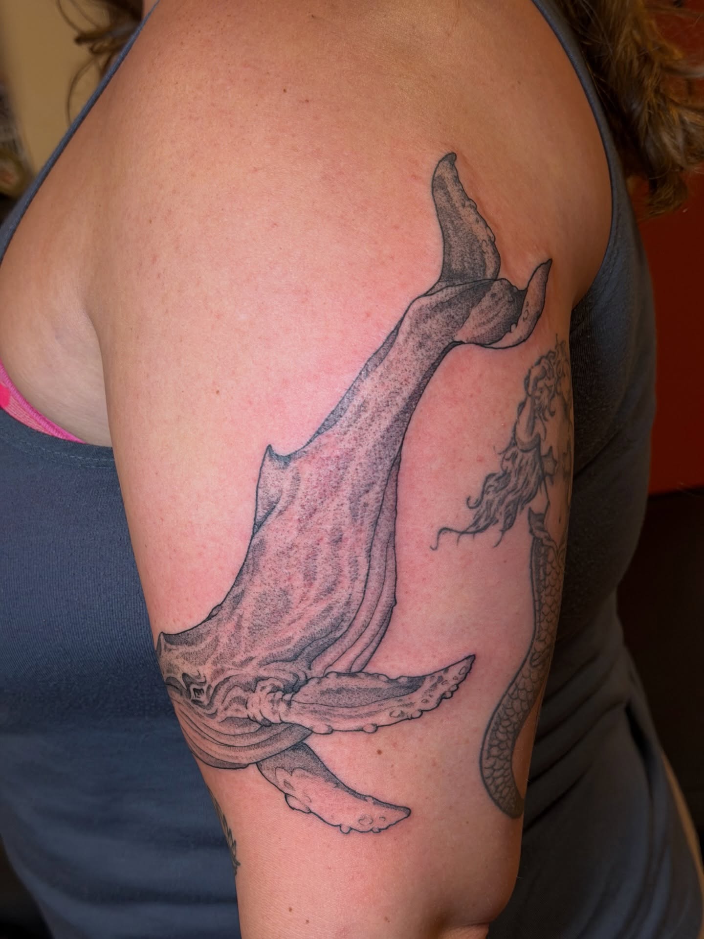 Whale black and grey tattoo on the upper arm by Gianna Calisi