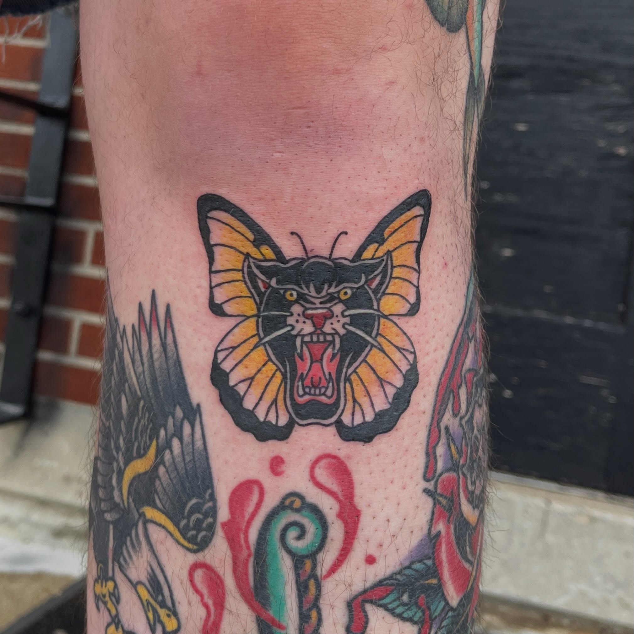 Butterfly with cat face American traditional tattoo on the forearm by sarah