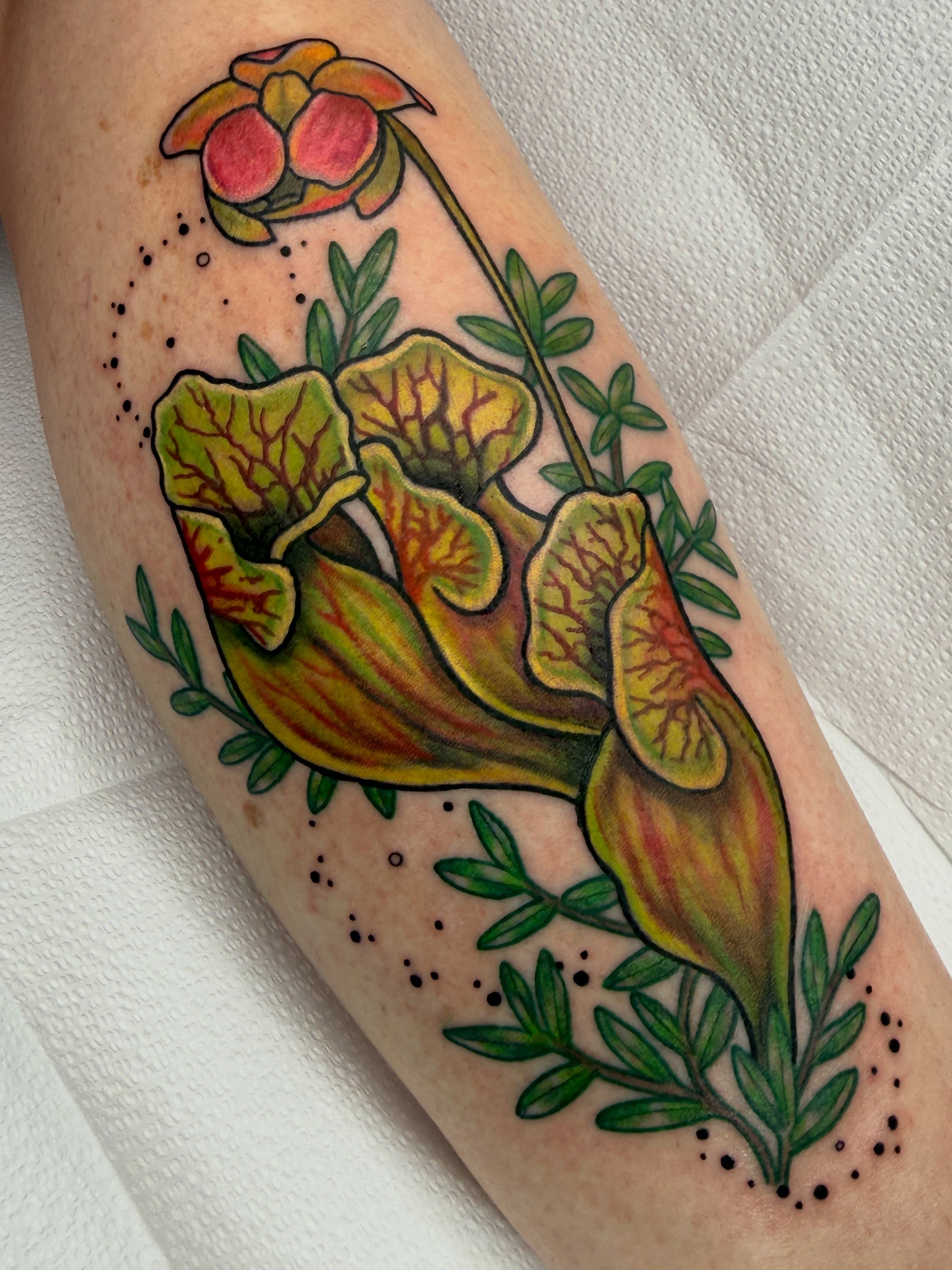 Pitcher plant dotwork tattoo on the forearm by AJ Jensen