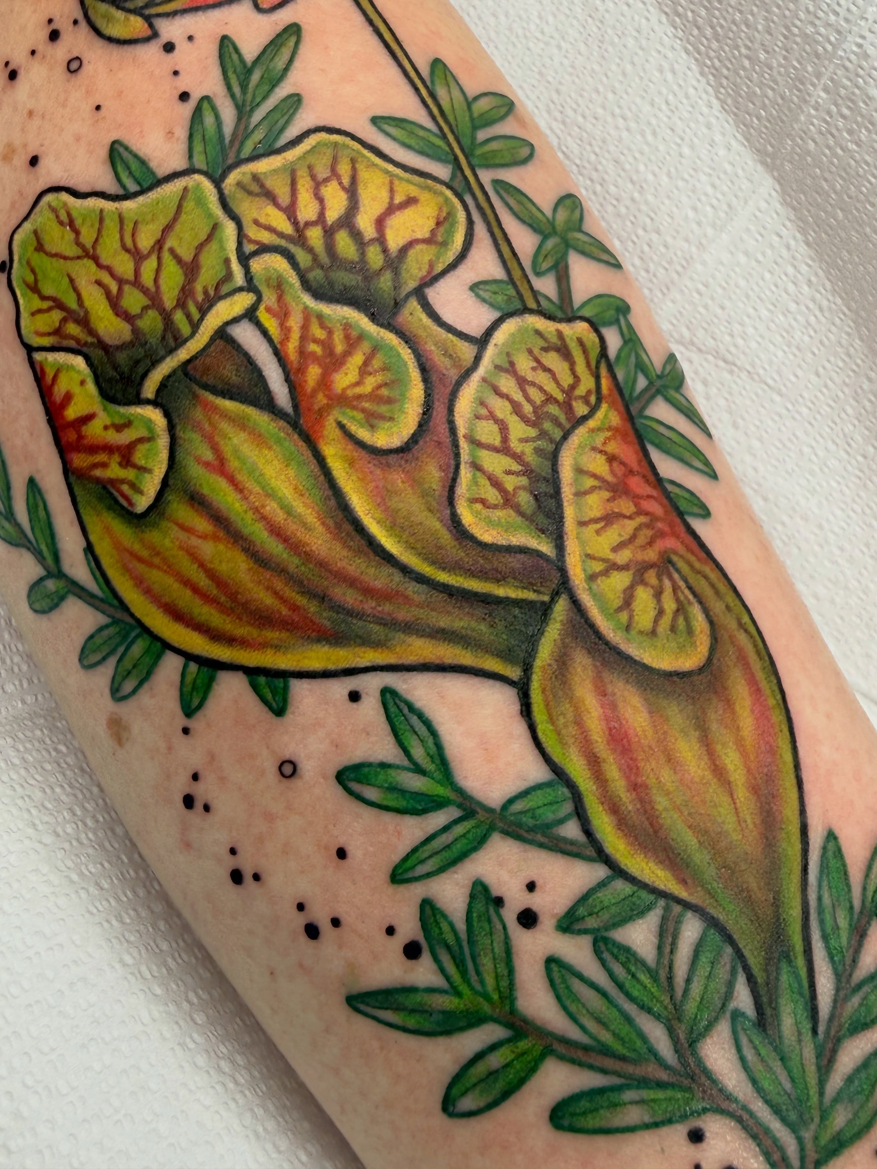 Pitcher plant dotwork tattoo on the forearm by AJ Jensen