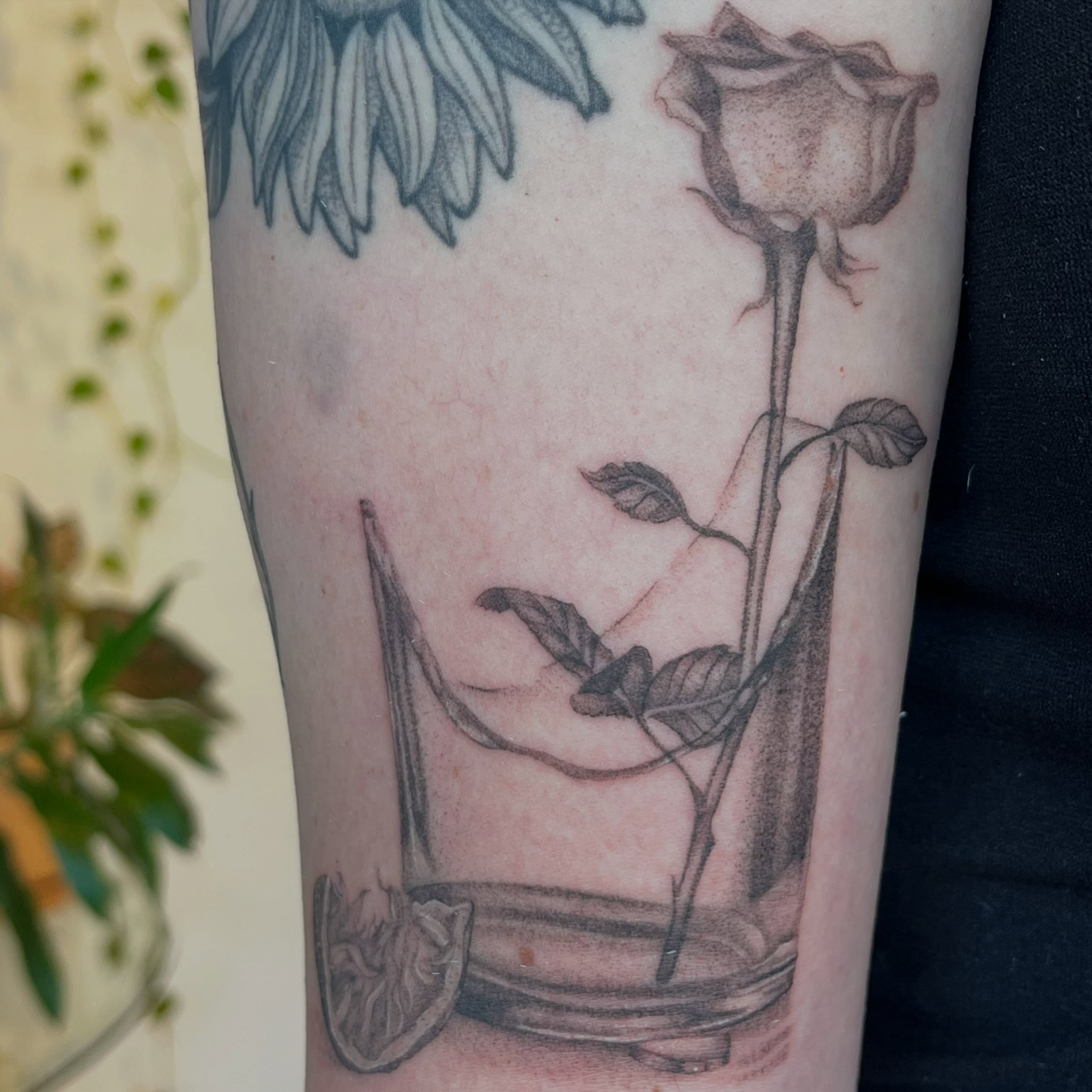 Rose in vase black and grey tattoo on the forearm by 🌼DaisyDaiz🕸️