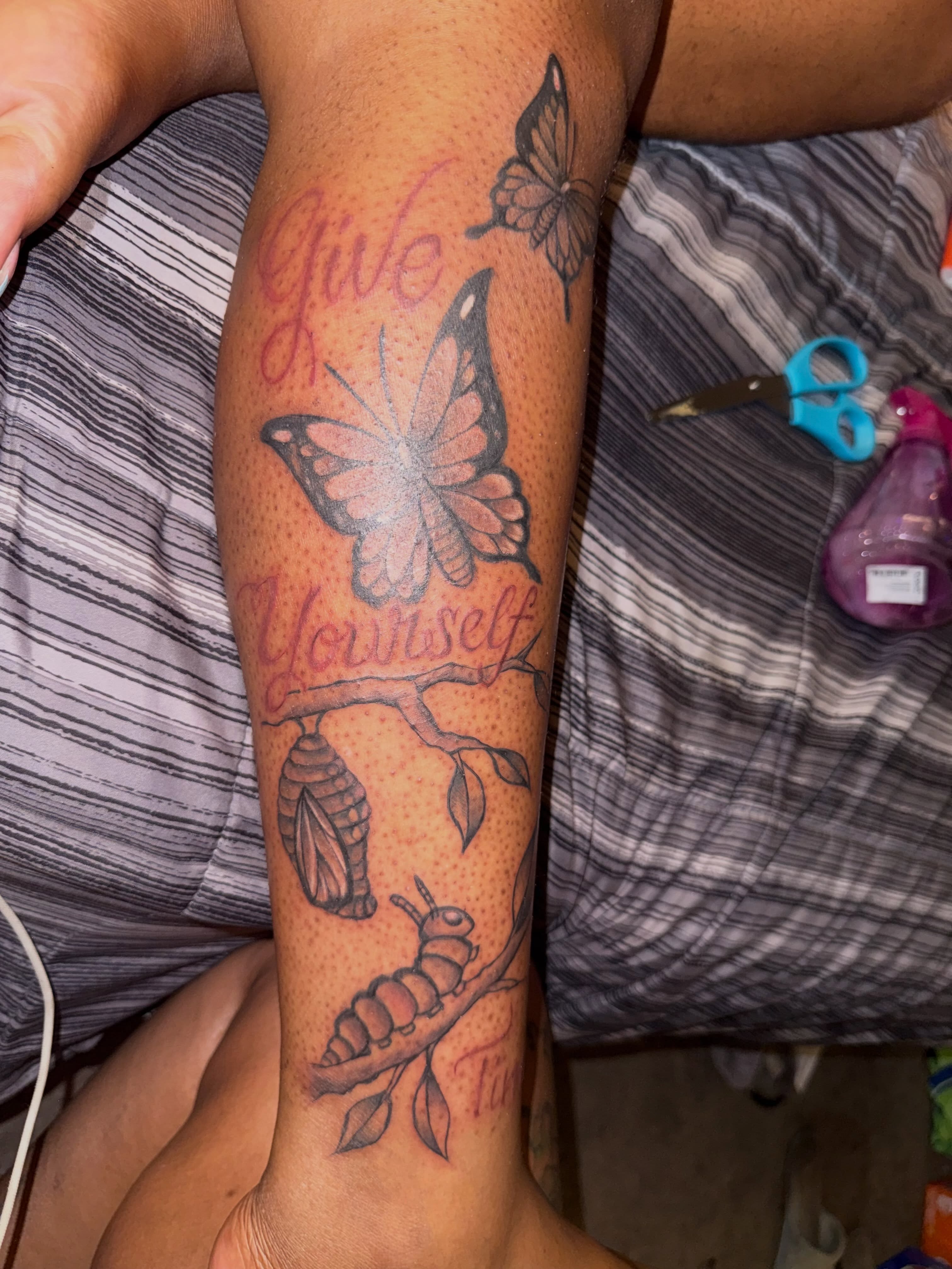 Butterfly transformation dotwork tattoo on the forearm by Aja Marie