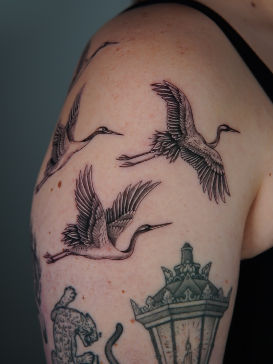 Cranes black and grey tattoo on the shoulder by Miami Tattoo Artist, Miami, Florida