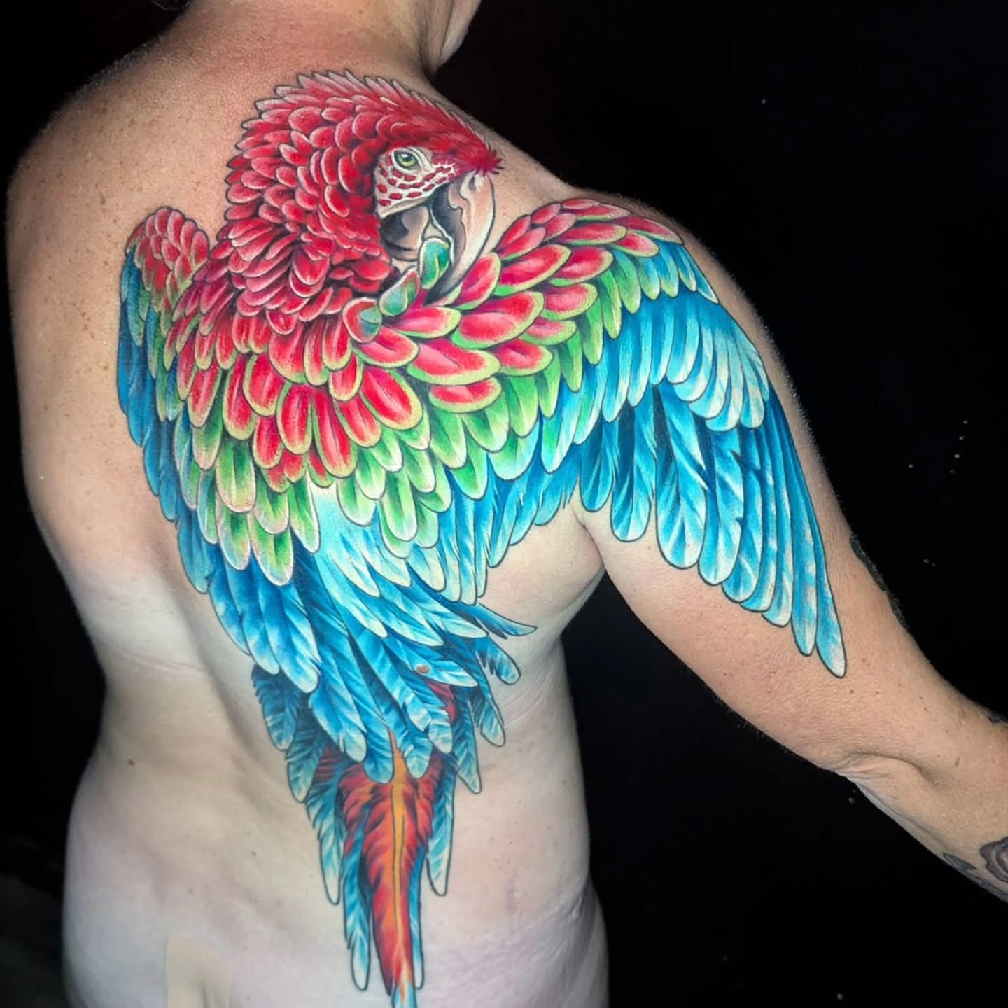 Macaw parrot realism tattoo on the shoulder by Don Lee