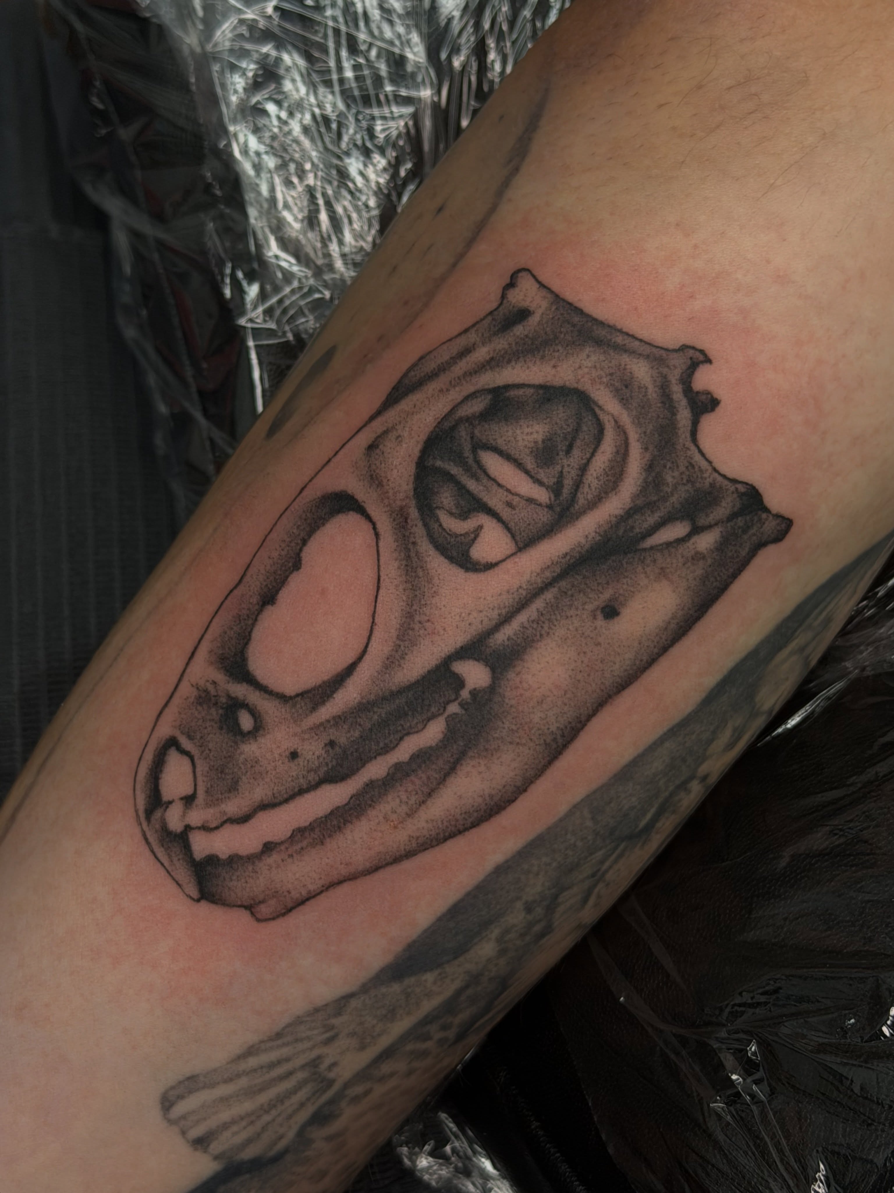 Dinosaur skull dotwork tattoo on the forearm by Halle Cooper