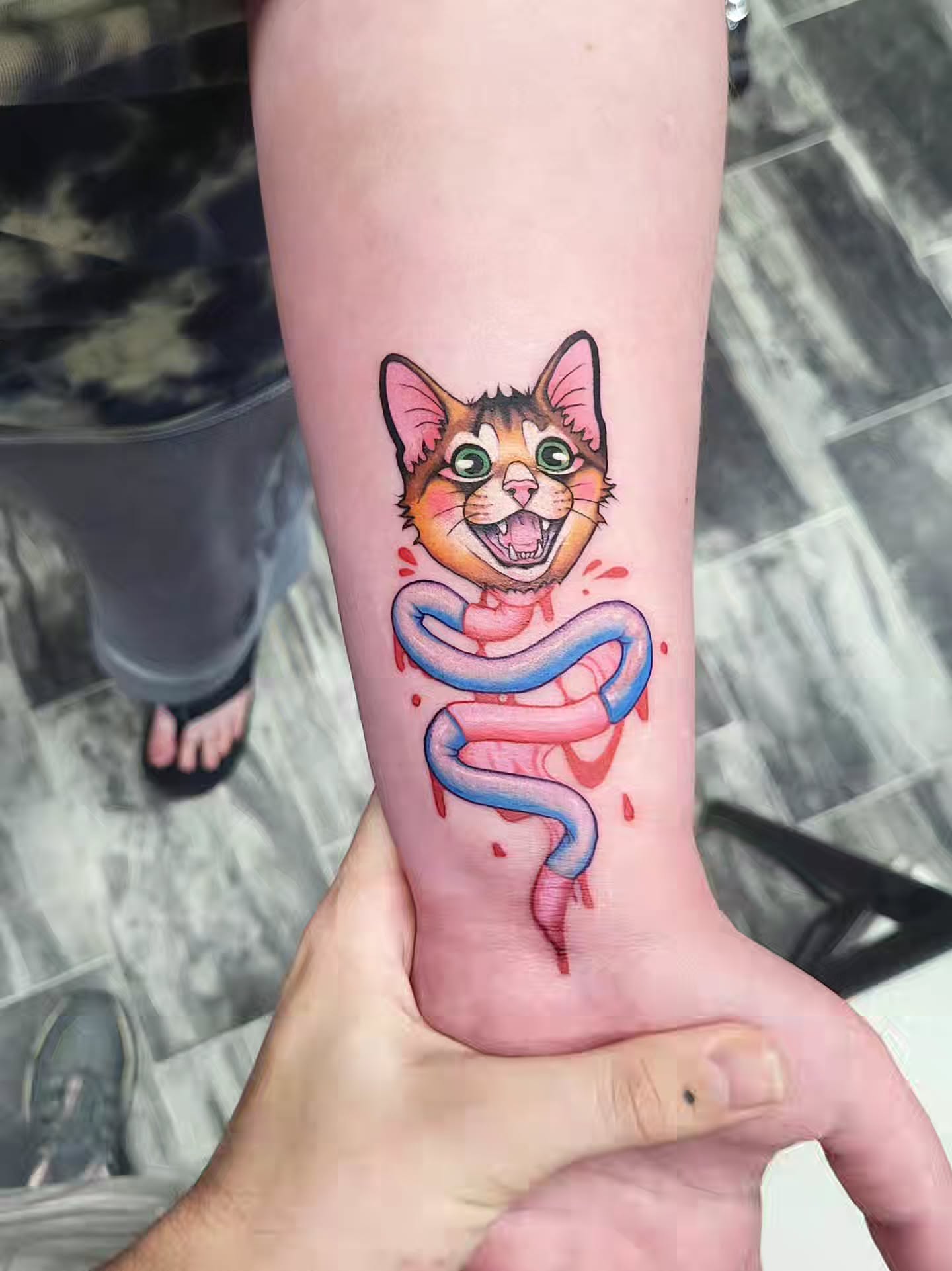 Cat with snake new school tattoo on the forearm by TEA ☕️ Tattoos