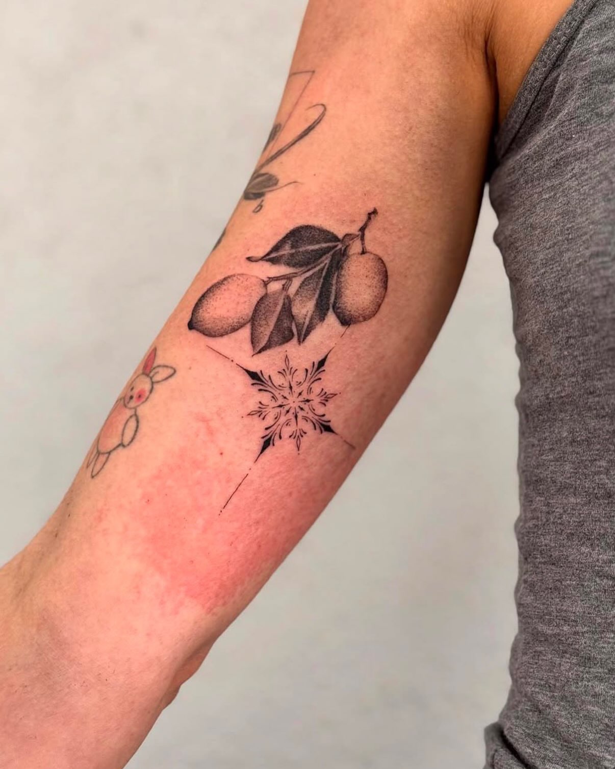 Fruit branch dotwork tattoo on the forearm by Karina ⋆⭒˚.⋆