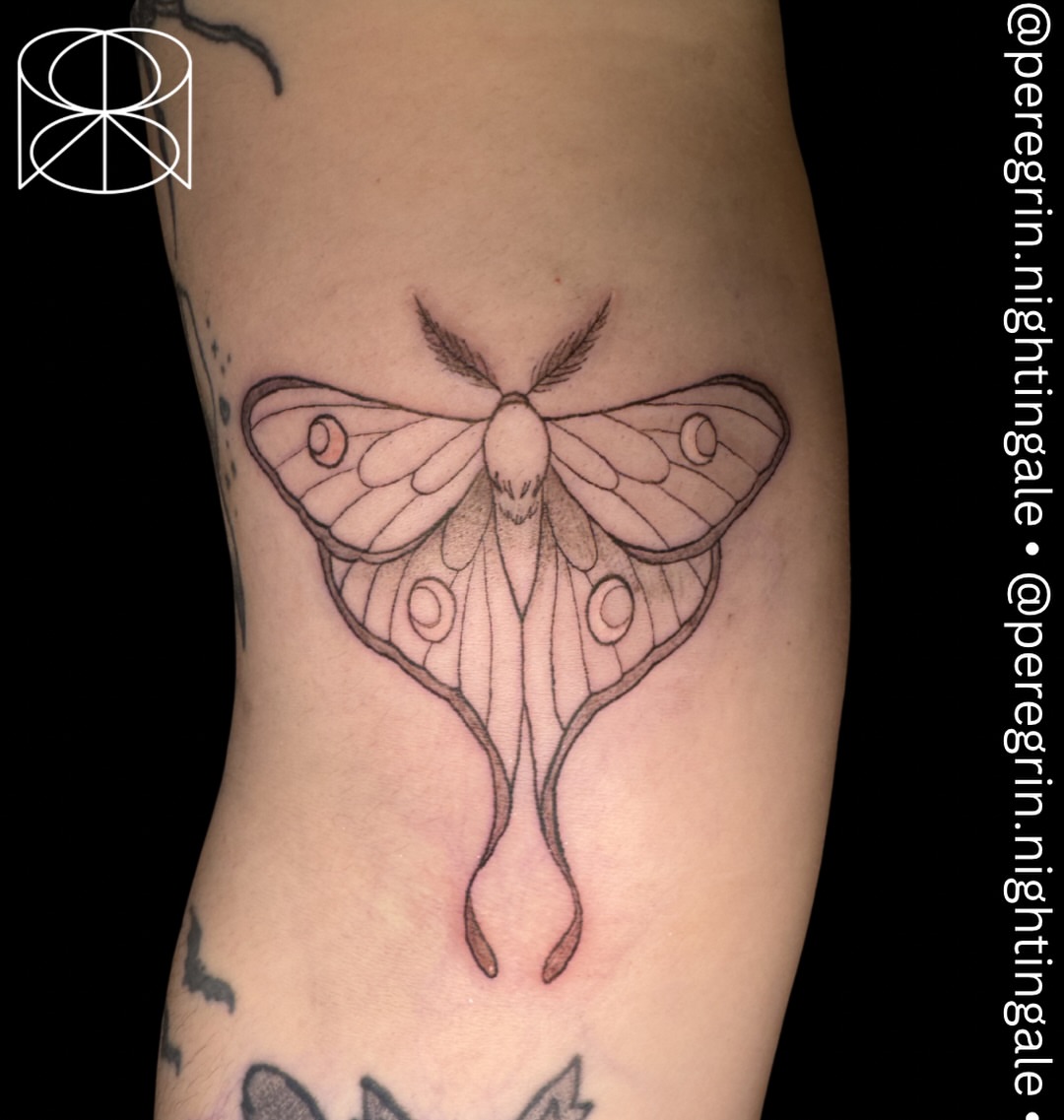 Moth geometric tattoo on the forearm by Peregrin