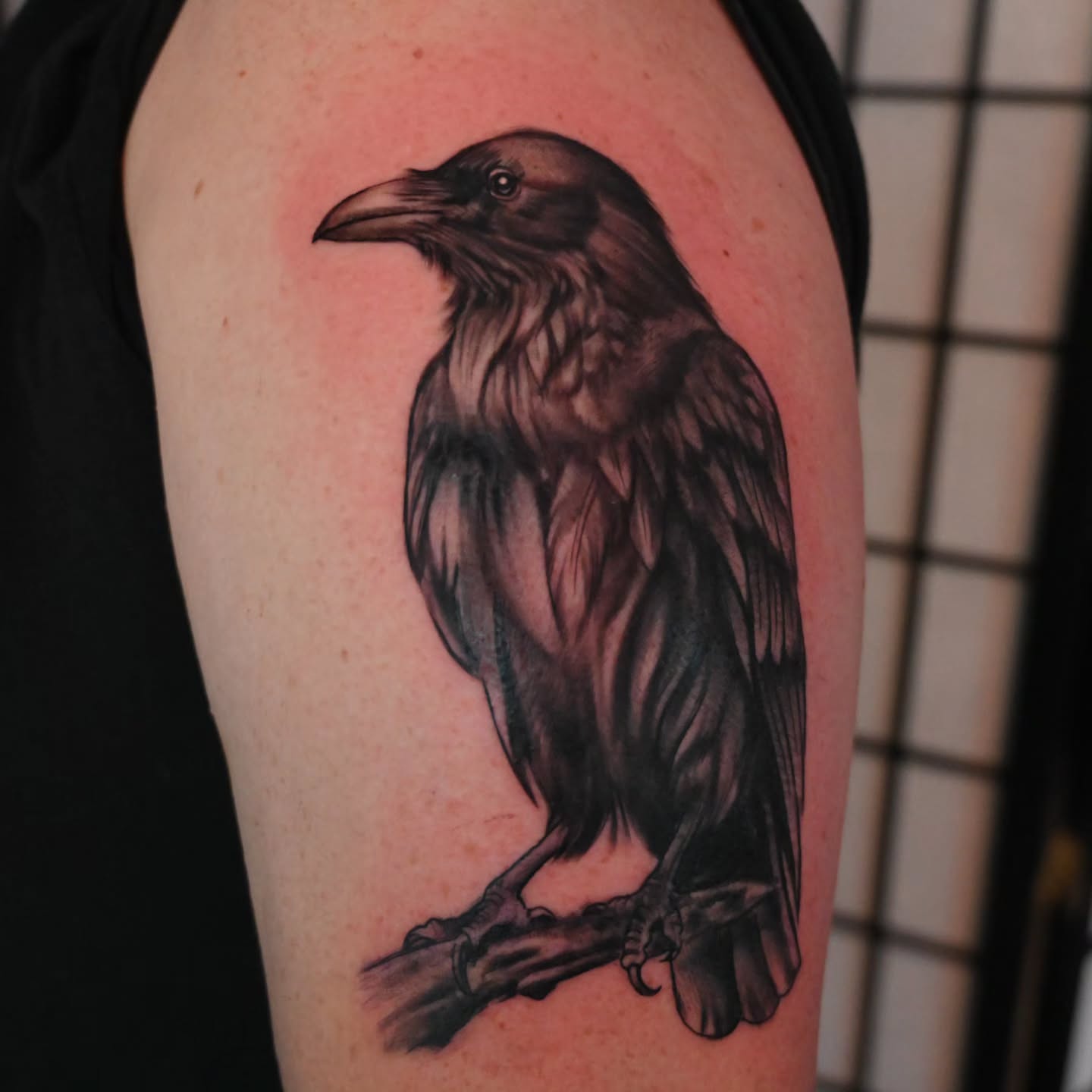 Crow realism tattoo on the forearm by Michael ORegan