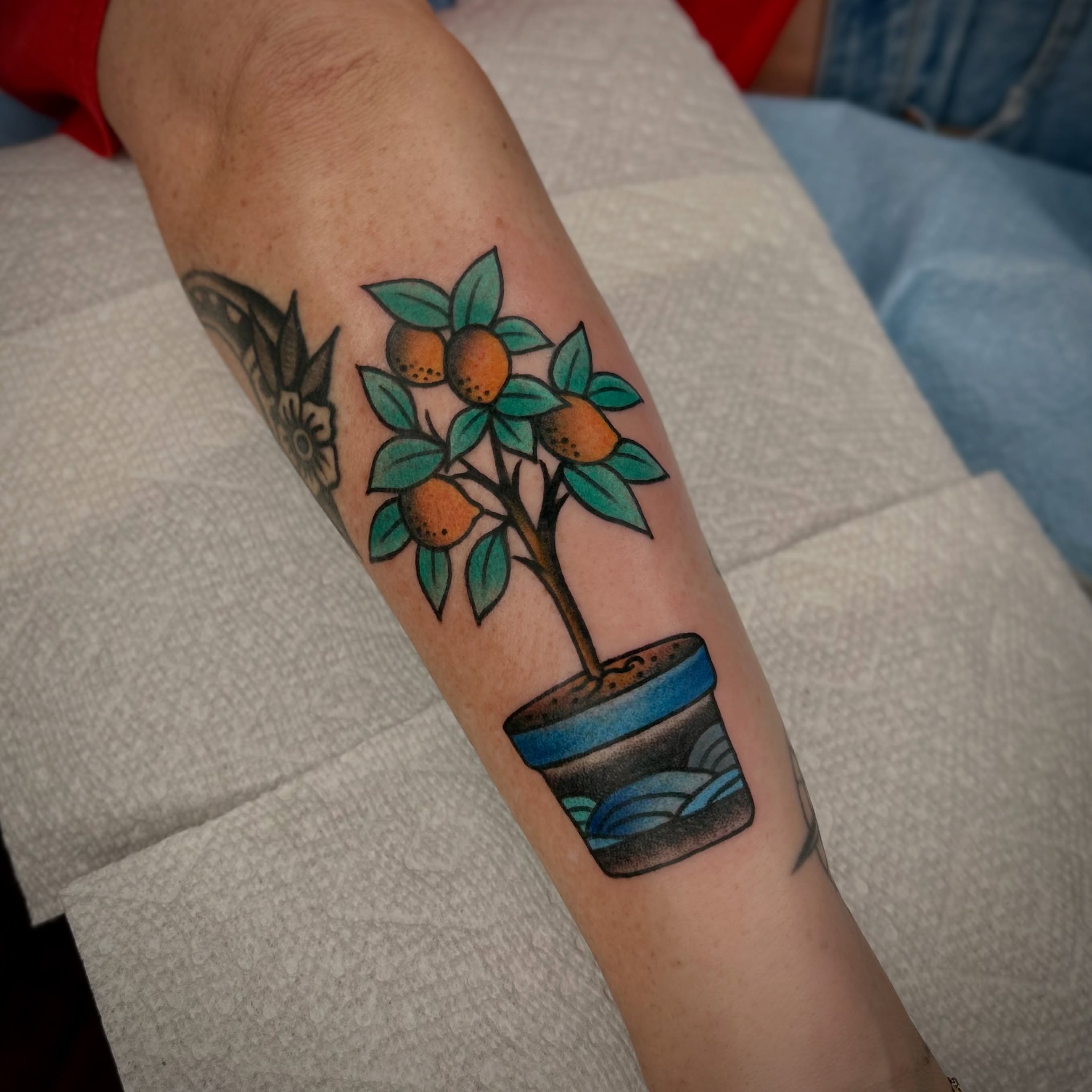 Citrus tree in pot American traditional tattoo on the forearm by Bright-bold-classic Tattoos, North Hills