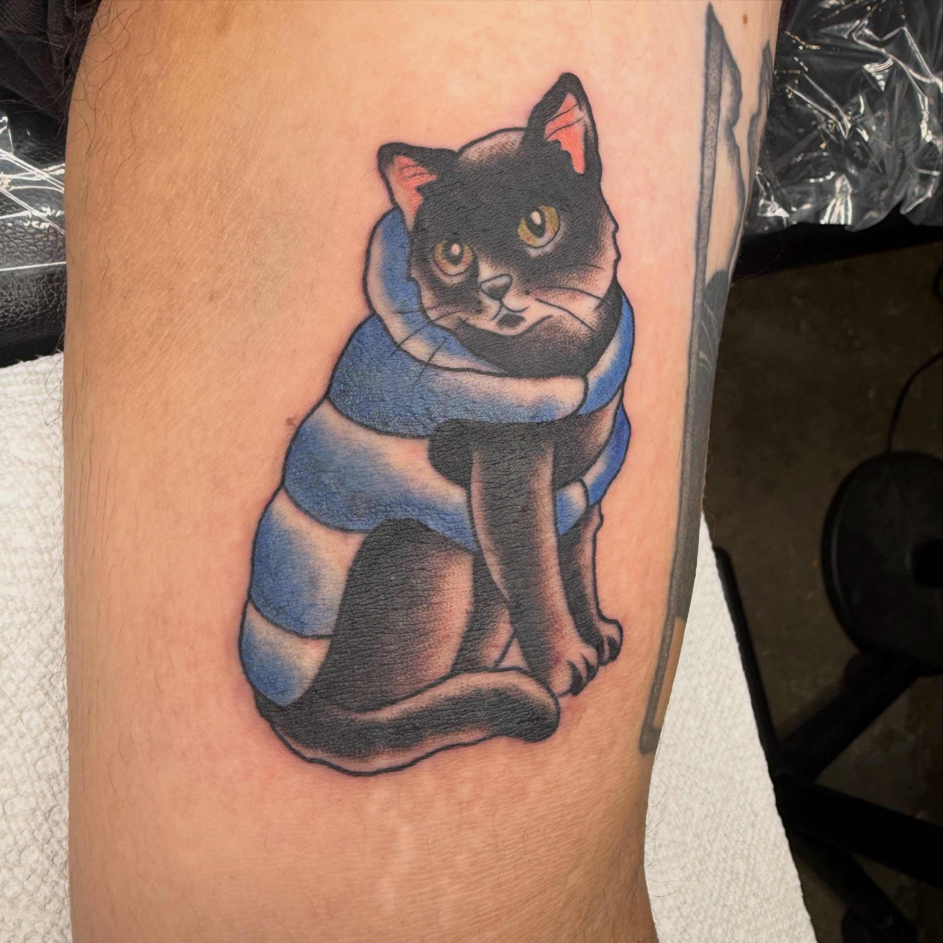 Cat wearing scarf realism tattoo on the forearm by @chrisskon, Carpentersville, Illinois