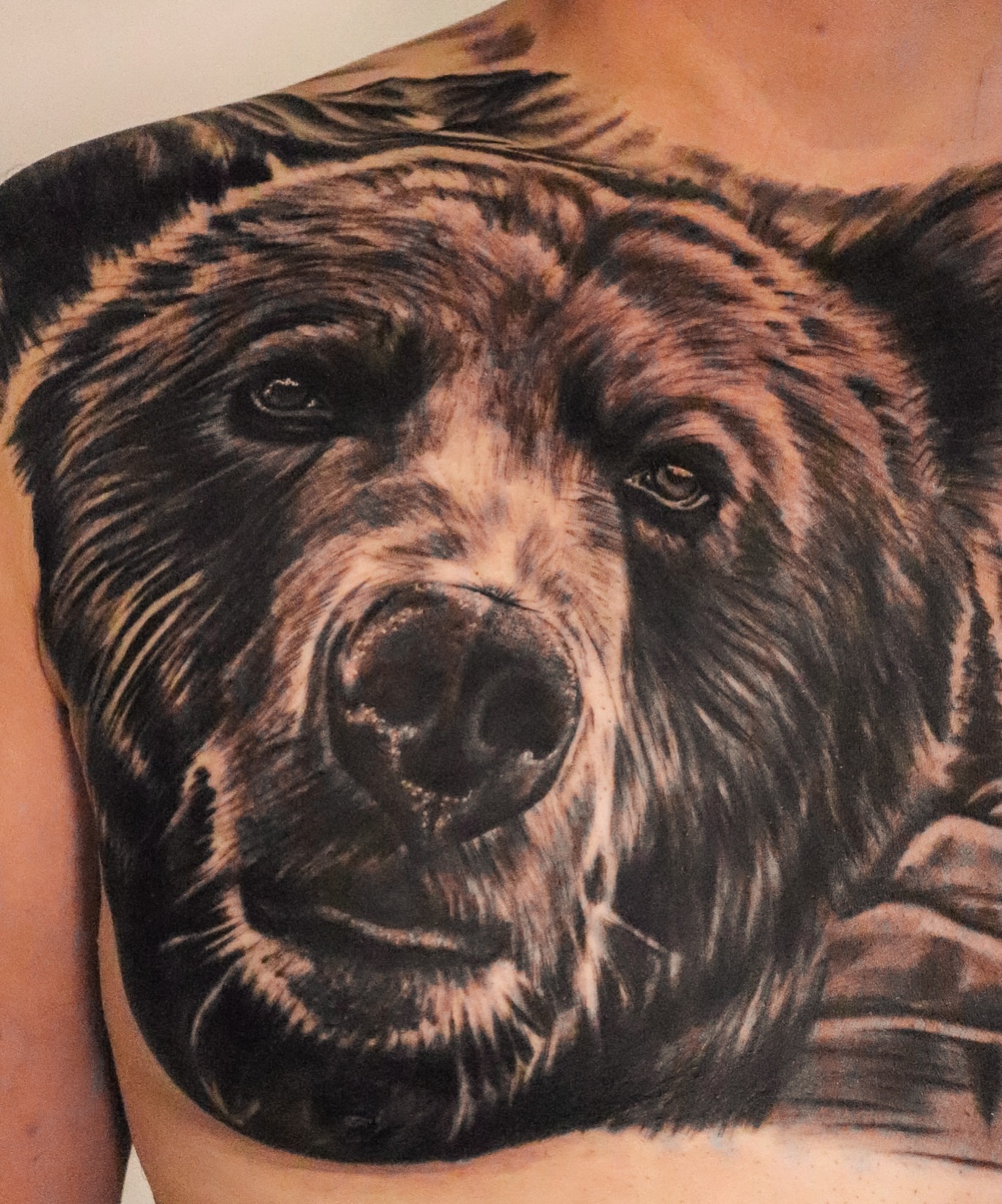 Bear realism tattoo on the chest by Angel Tattoos