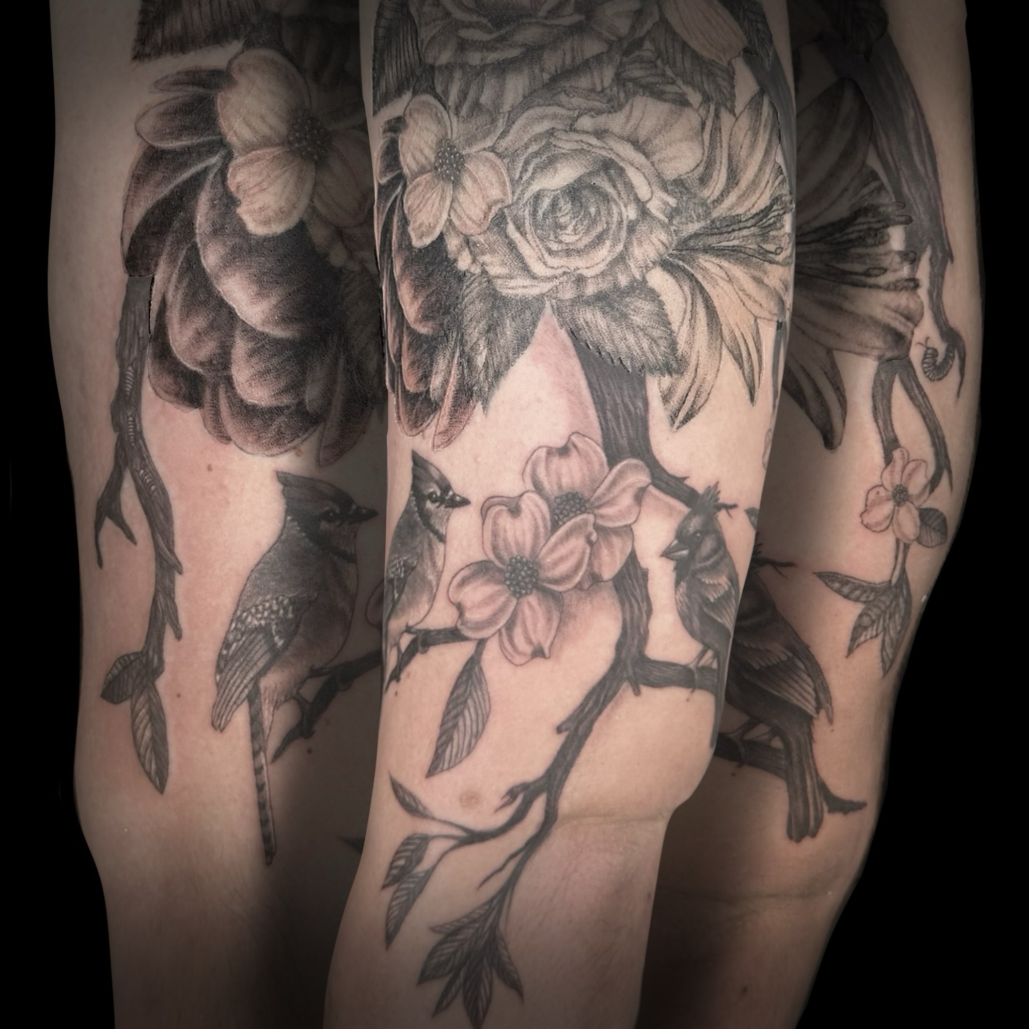Birds and flowers realism tattoo on the forearm by 🌜🔮✨Anya Casey✨🔮🌛