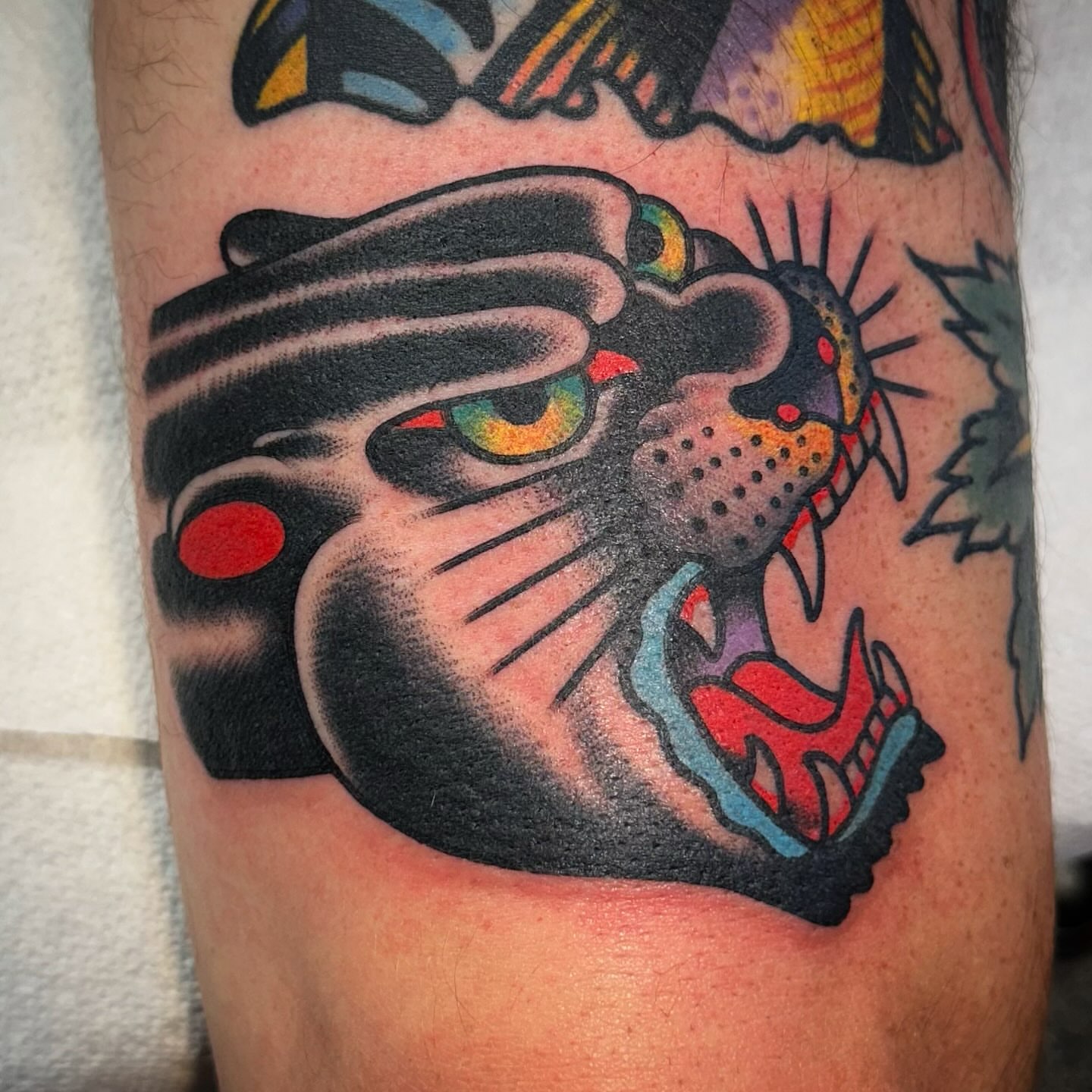 Panther American traditional tattoo on the forearm by Nathan Rohrbacher, Nashville, Tennessee
