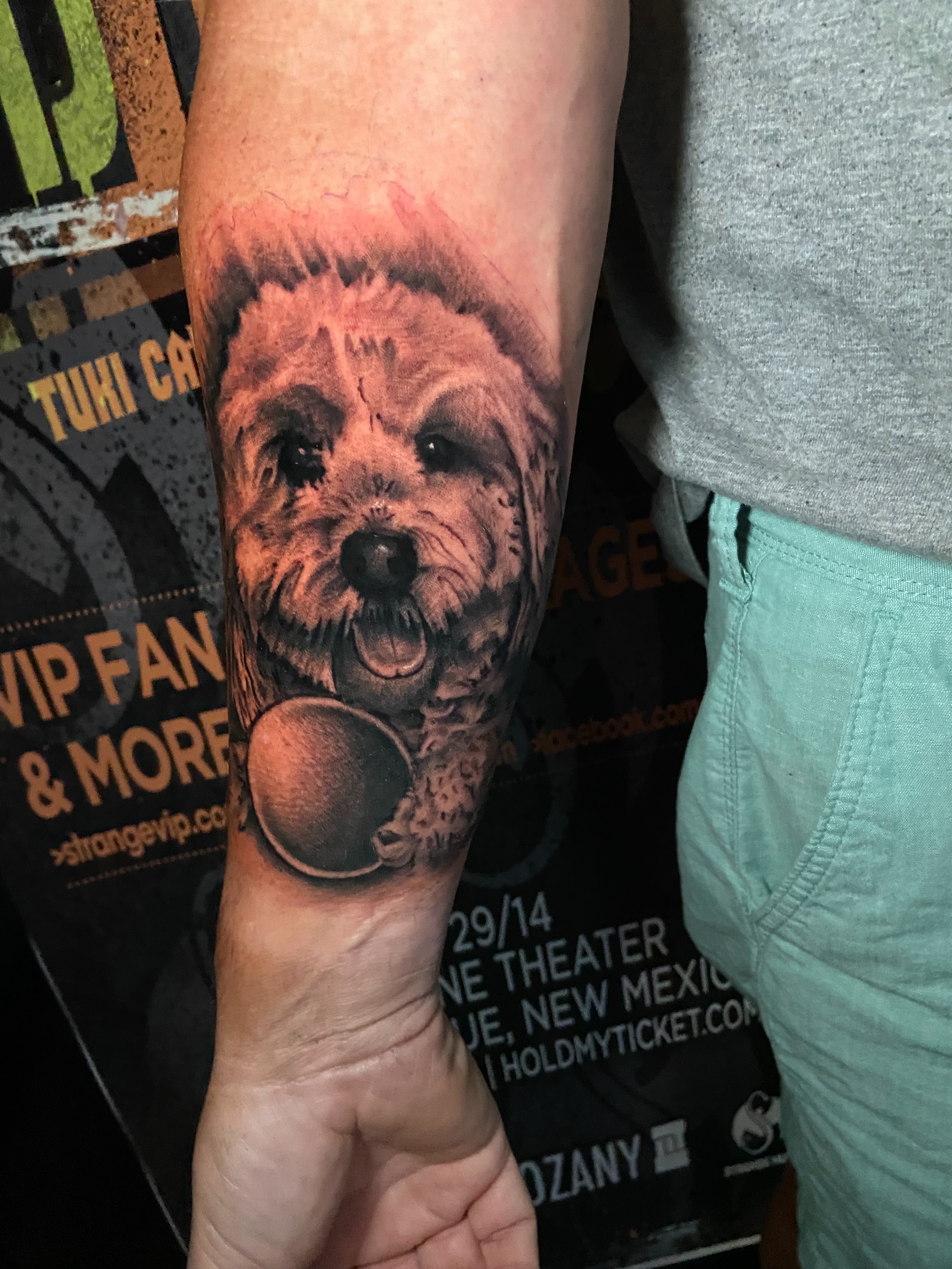 Dog realism tattoo on the forearm by Brandon Bowie