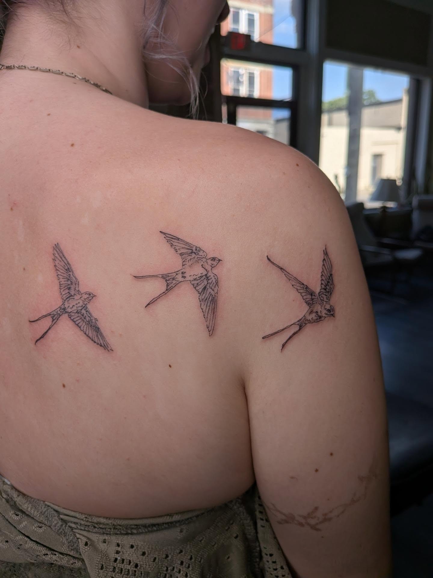 Swallows black and grey tattoo on the shoulder by Ryan