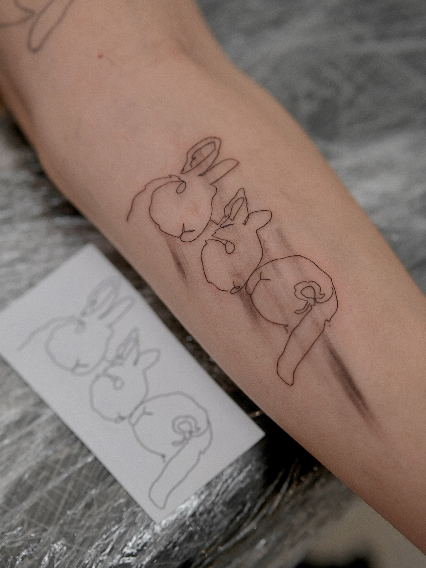 Tattoo by @13.tattooer — fine_line, minimalist