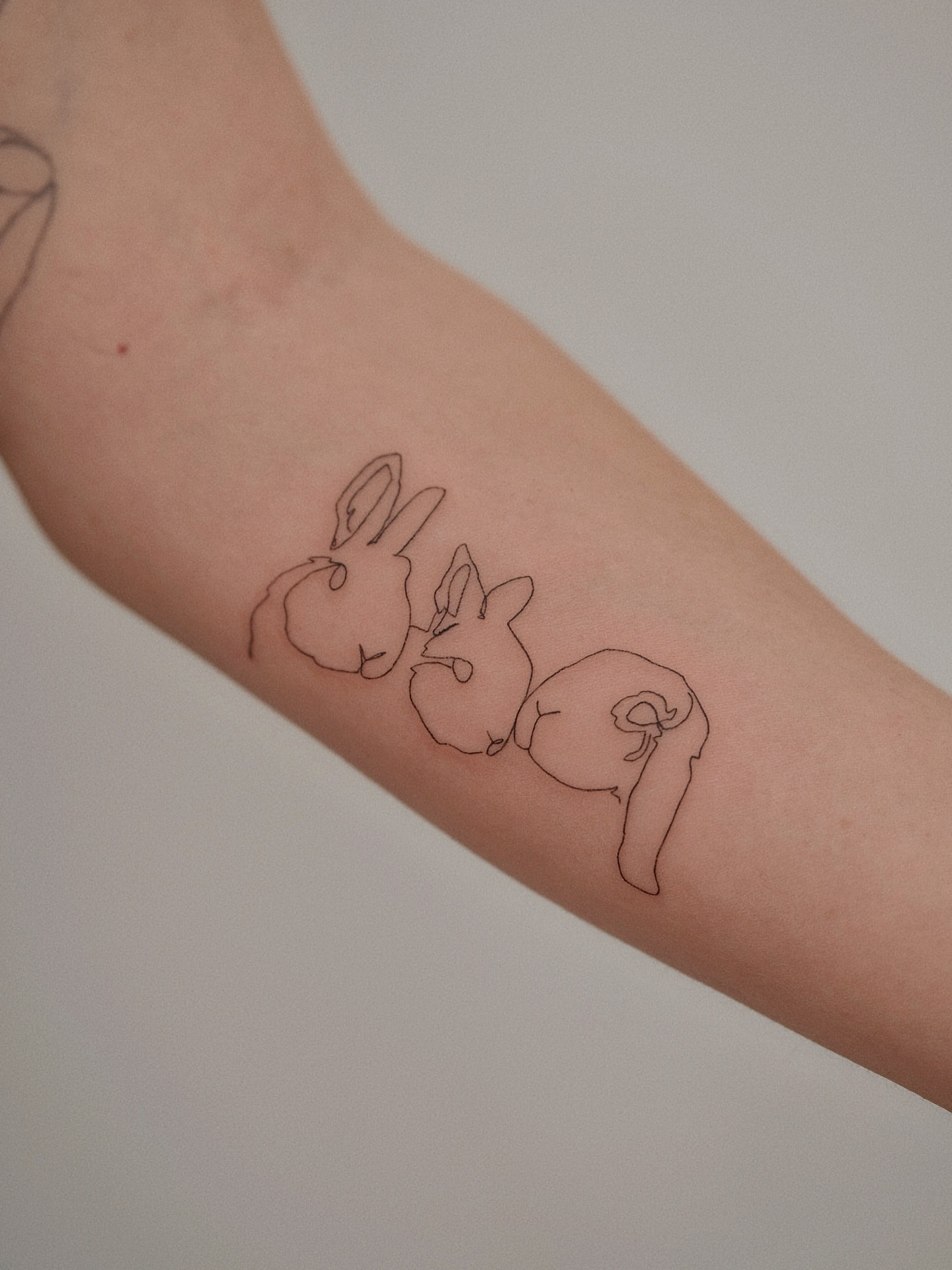 Tattoo by @13.tattooer — minimalist