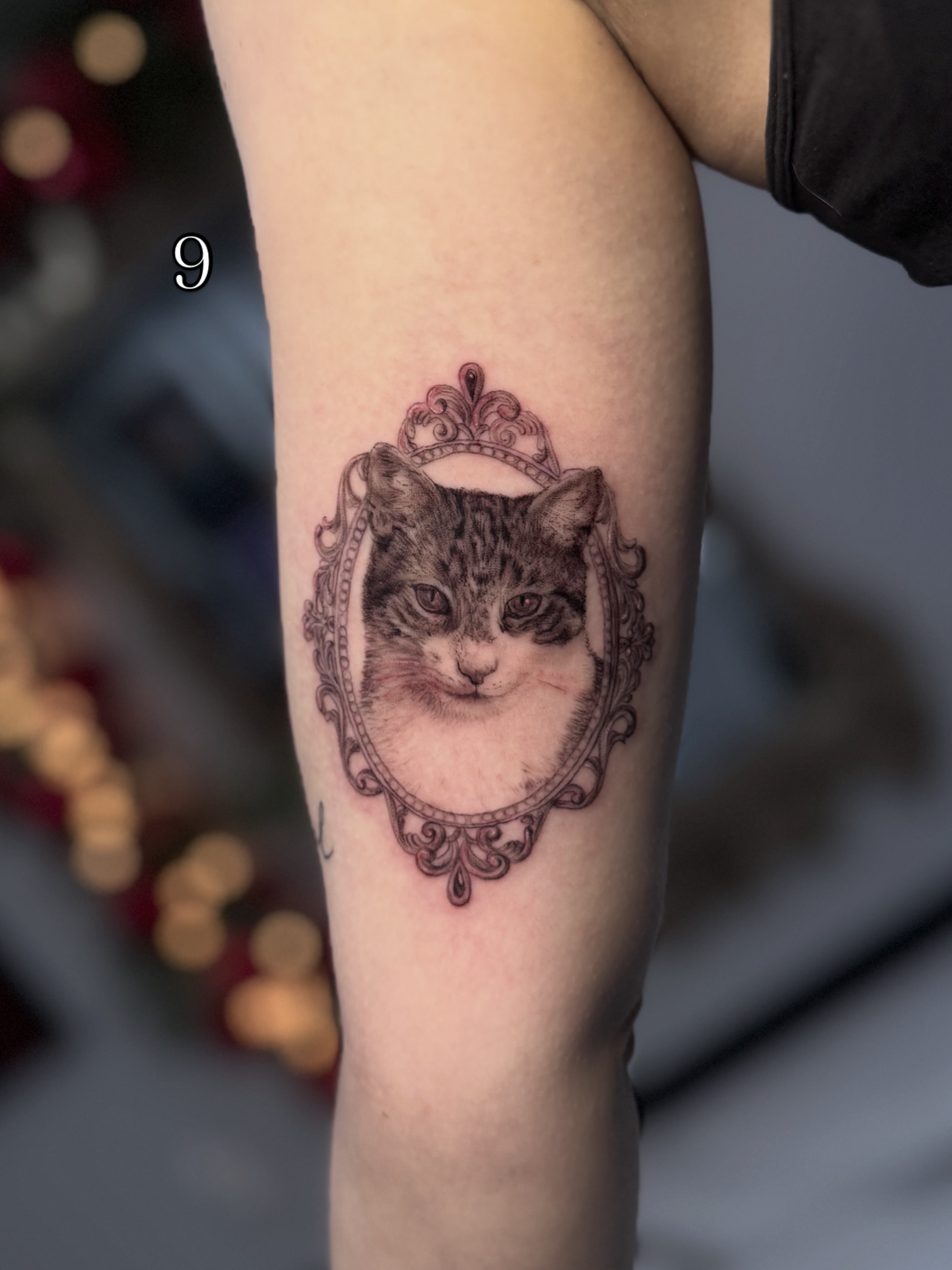 Cat realism tattoo on the forearm by Mia
