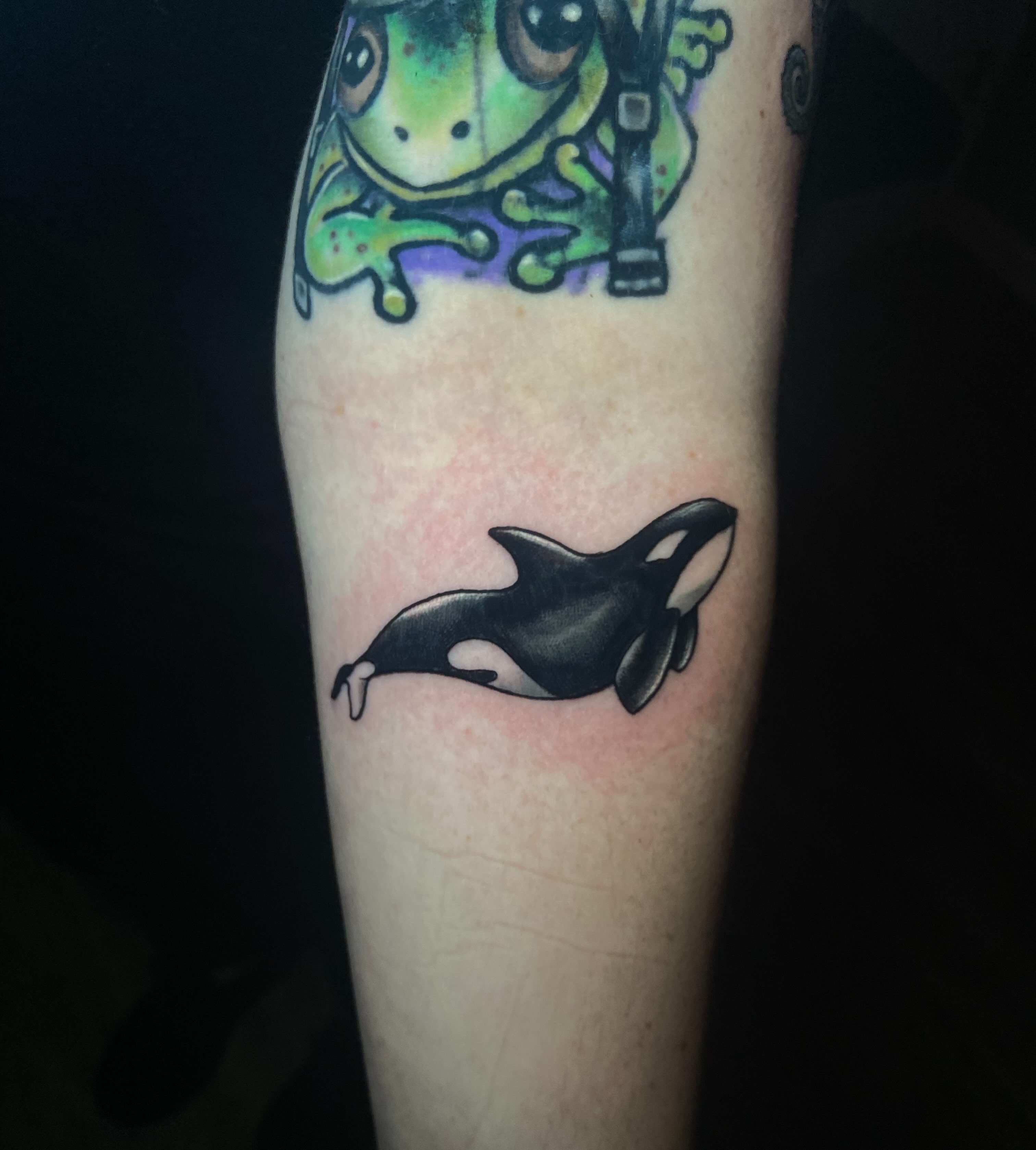 Frog and orca realism tattoo on the forearm by โ๏ธ ๐๐ฎ๐ฐ๐ธ๐ถ๐ฒ โ๏ธ