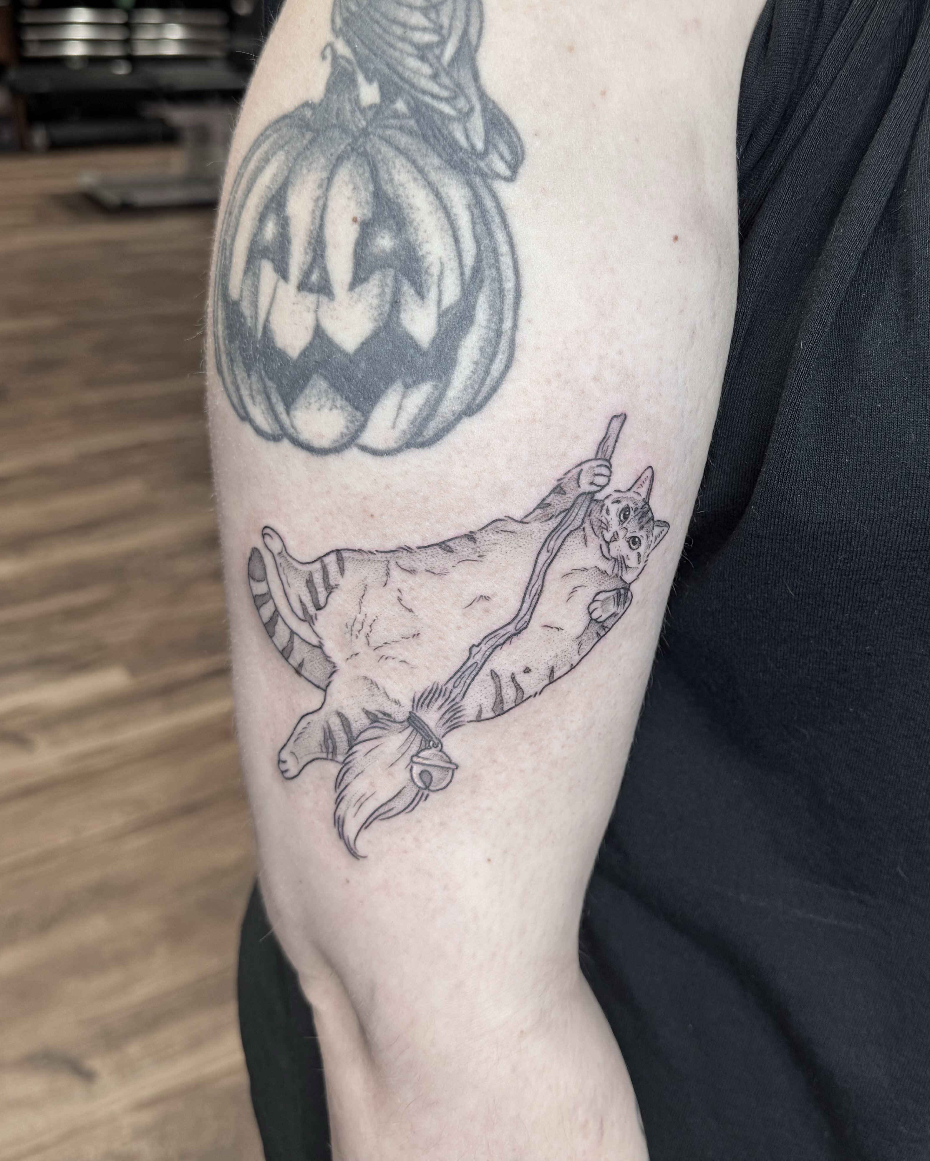 Cat black and grey tattoo on the forearm by Audrey Kacel, Holland, Michigan