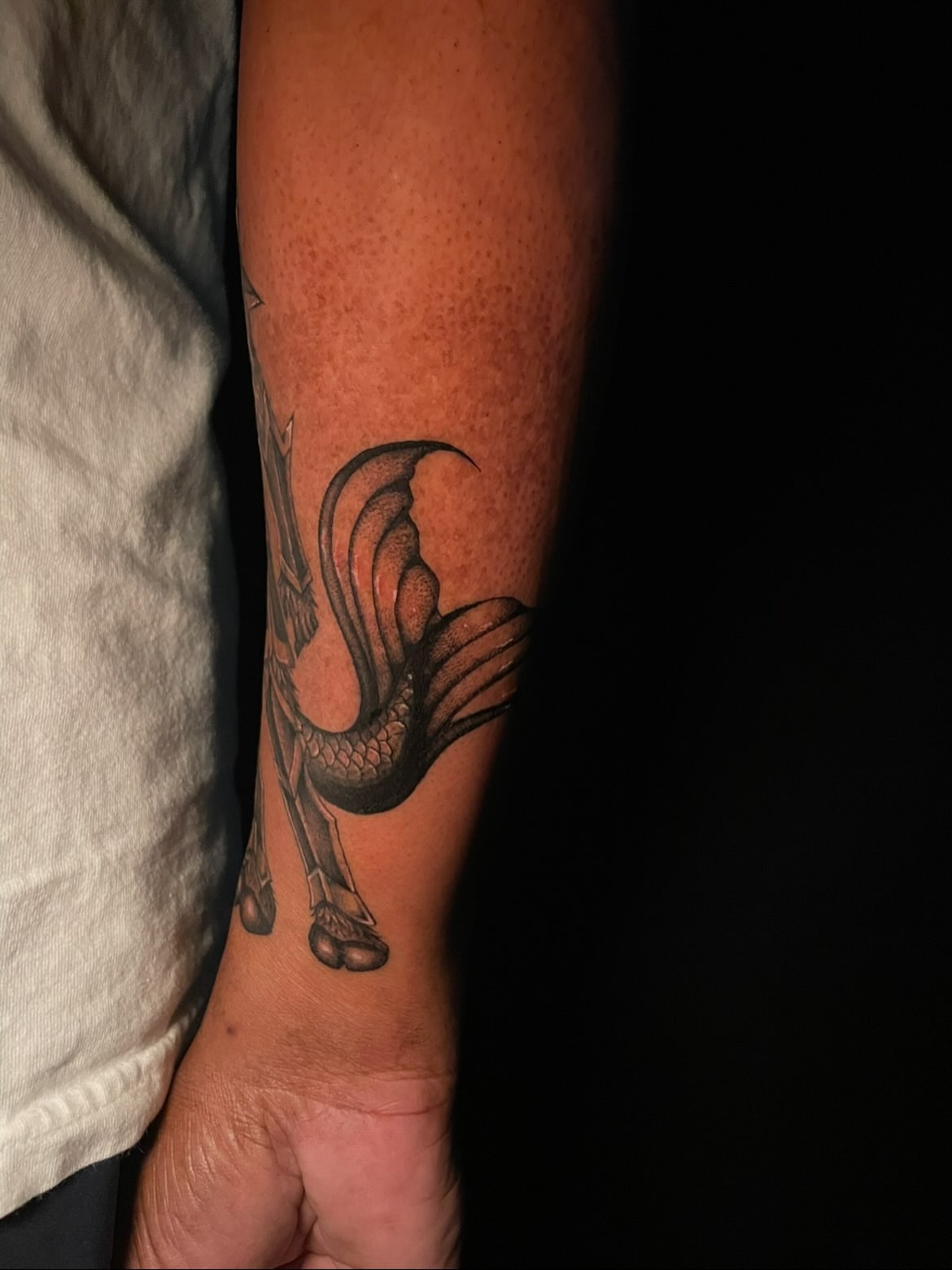 Mermaid black and grey tattoo on the forearm by 𝕲𝖗𝖆𝖈𝖊 🥀 ᴛᴀᴛᴛᴏᴏ