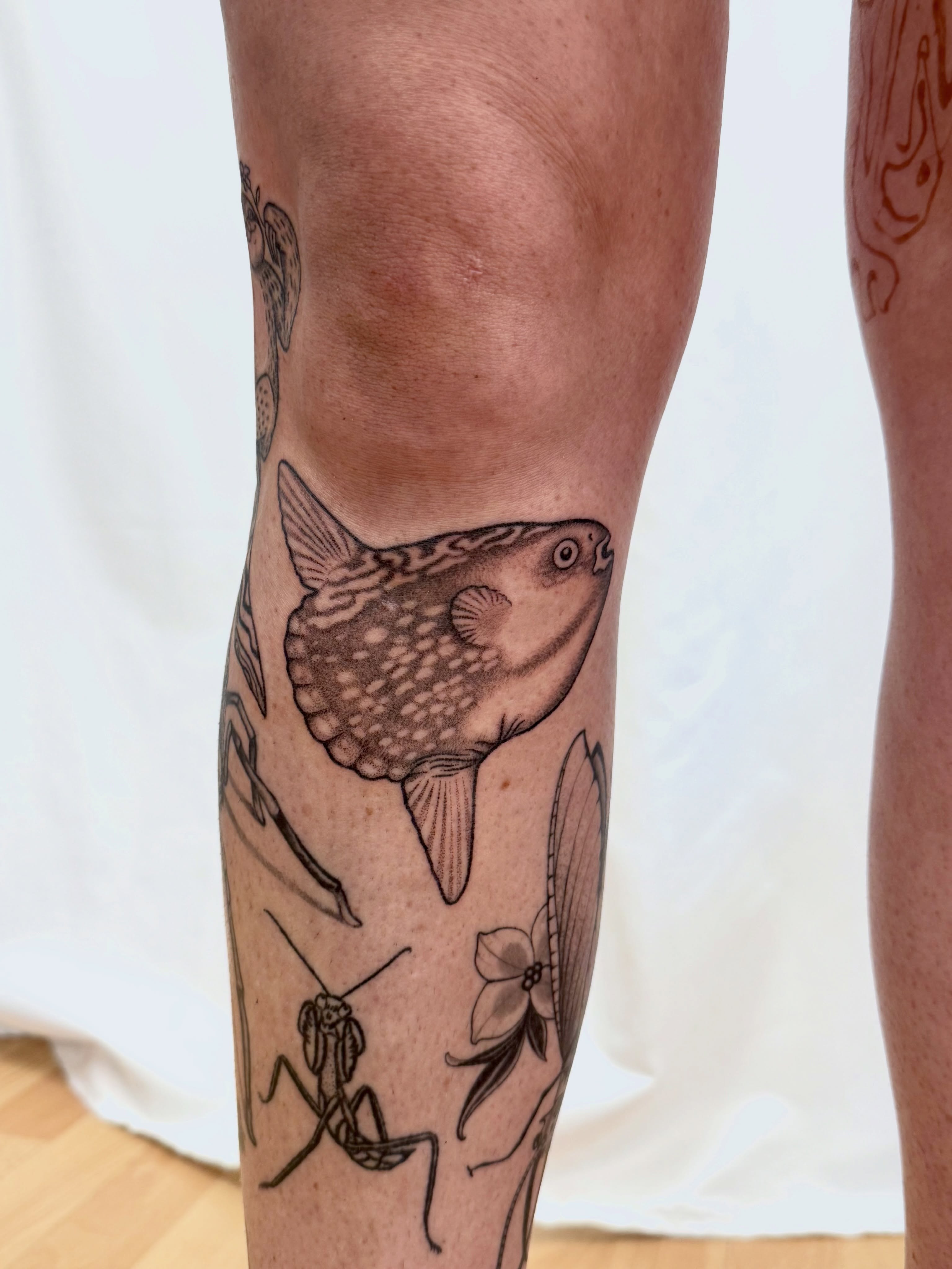 Fish dotwork tattoo on the forearm by Melia Mariko
