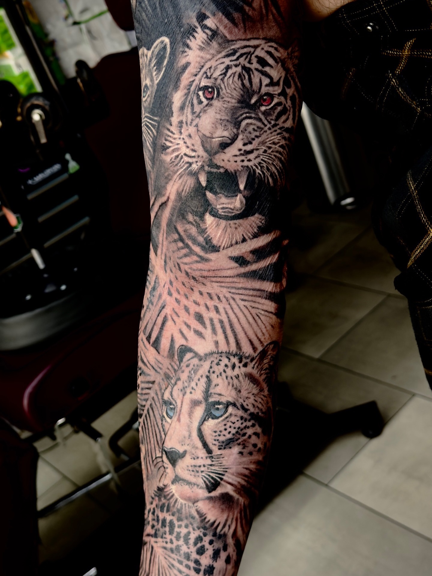 Tiger and cheetah realism tattoo on the forearm by Jarrod Gatzke