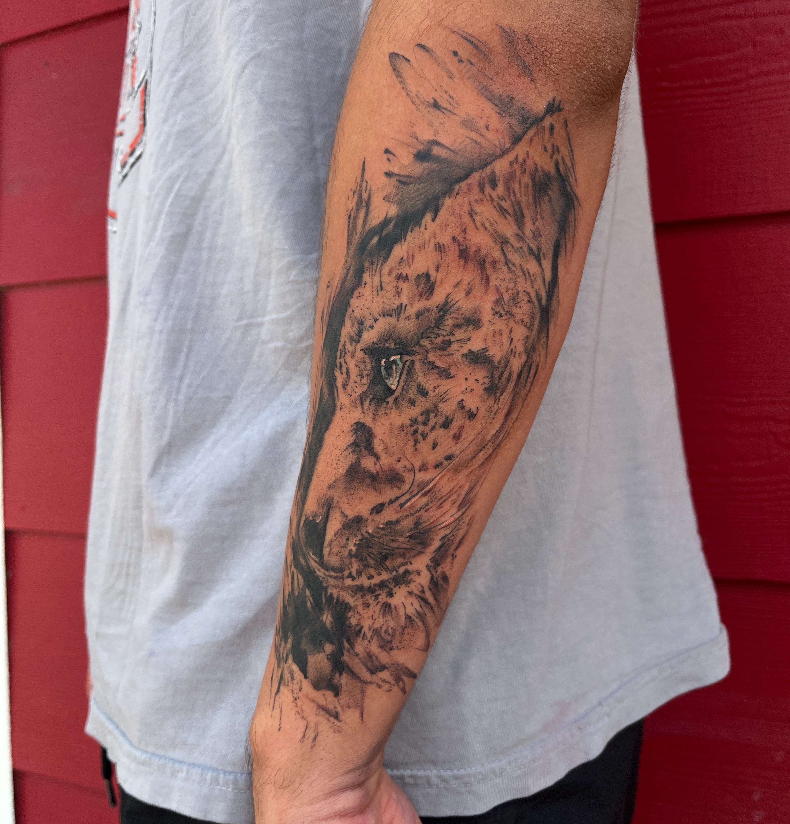 Snow leopard realism tattoo on the forearm by Timmy