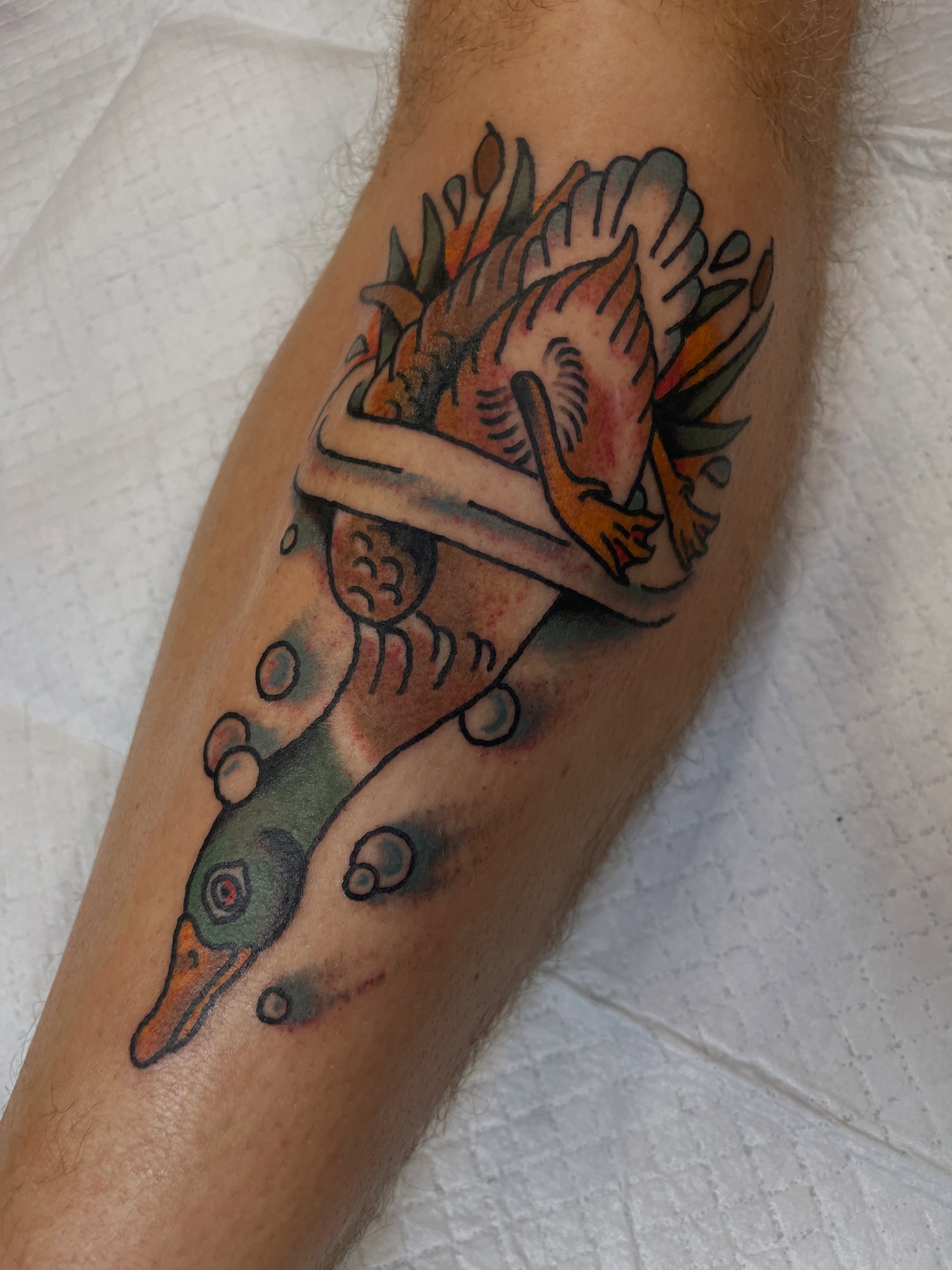 Duck and fish American traditional tattoo on the forearm by @pizzabref