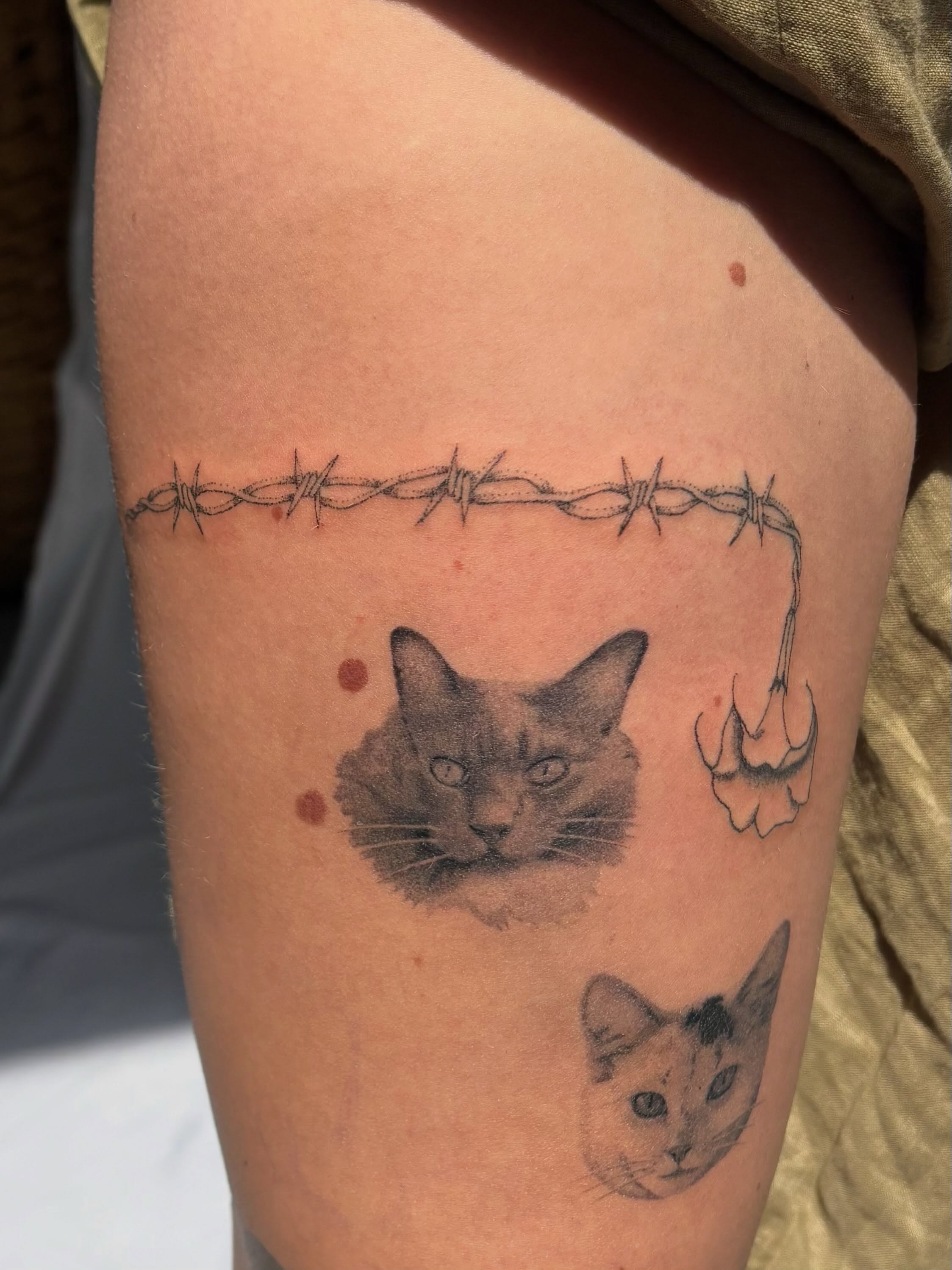 Cat and barbed wire realism tattoo on the thigh by sabrina ✿ ◔ ں ◔ ✿ san francisco tattoo!