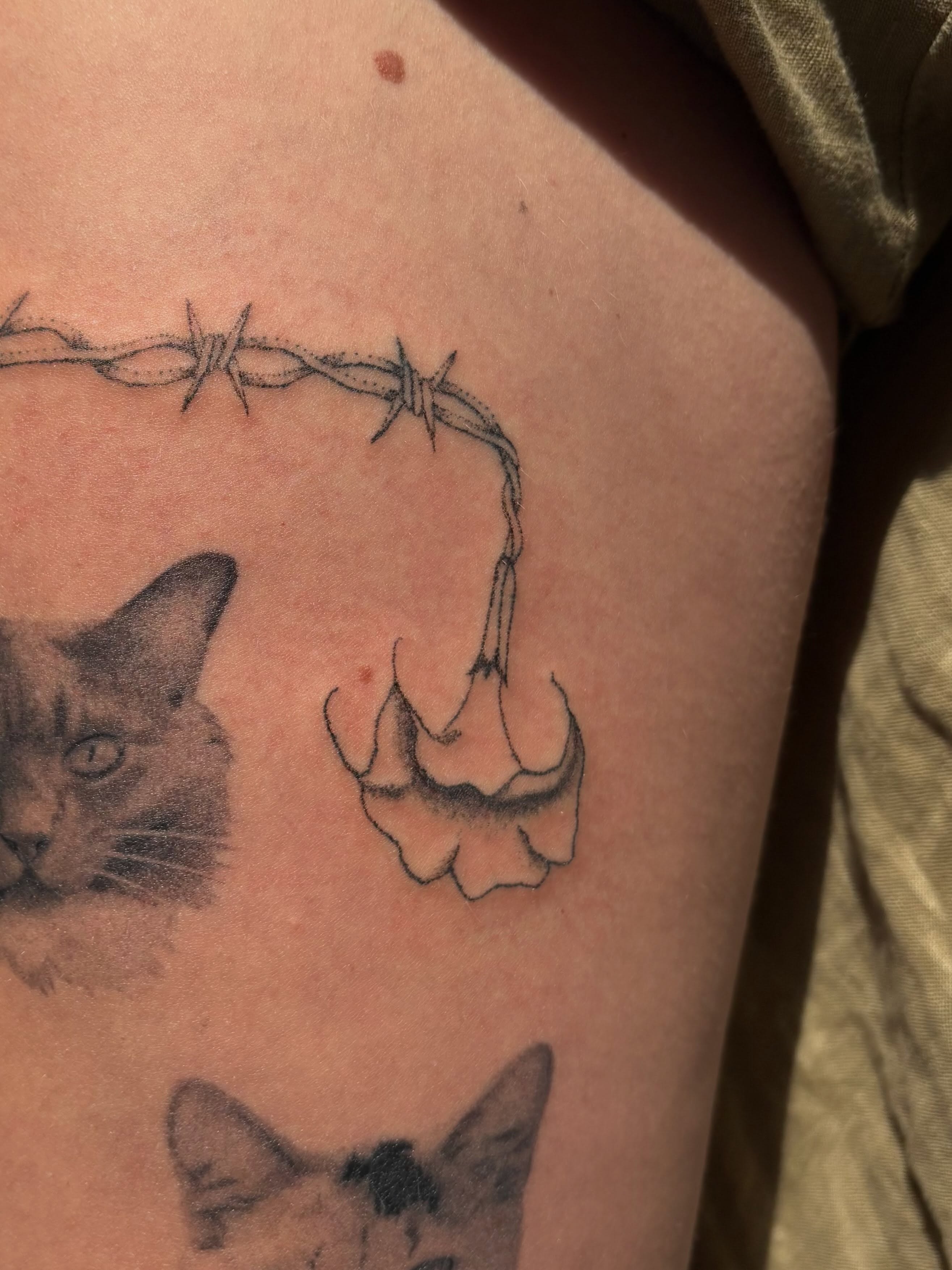 Cat and barbed wire black and grey tattoo on the thigh by sabrina ✿ ◔ ں ◔ ✿ san francisco tattoo!