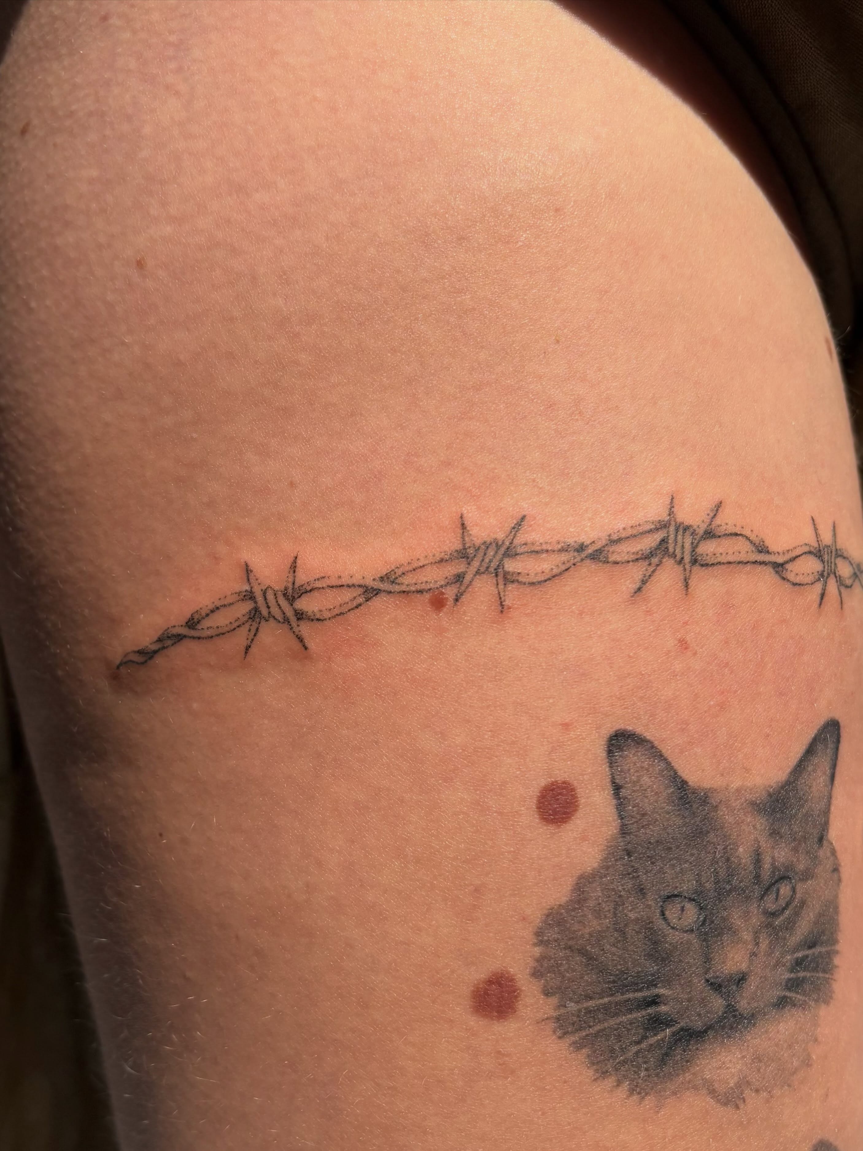 Barbed wire and cat realism tattoo on the upper arm by sabrina ✿ ◔ ں ◔ ✿ san francisco tattoo!