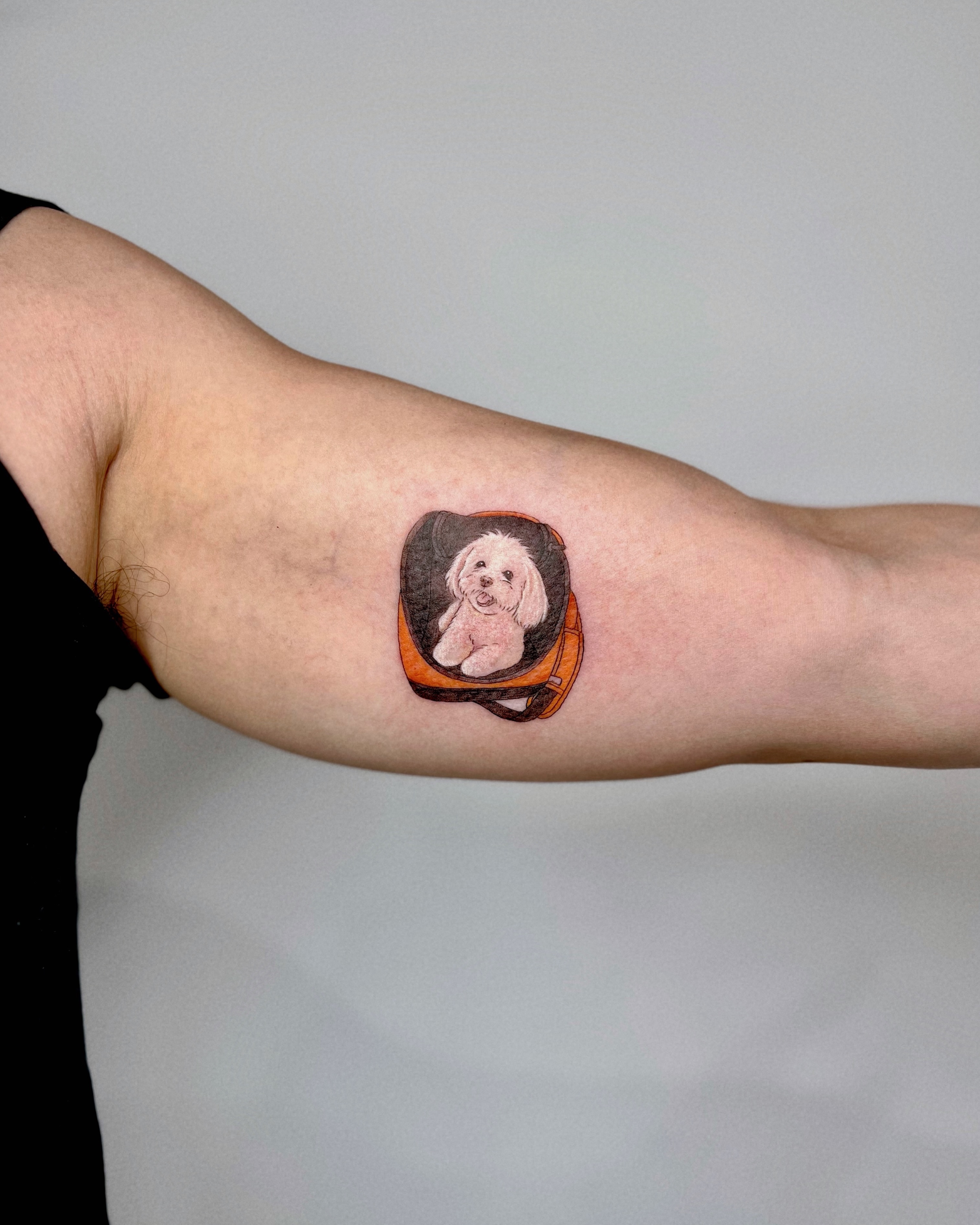 Tattoo by Soy 🫛, Boston, MA