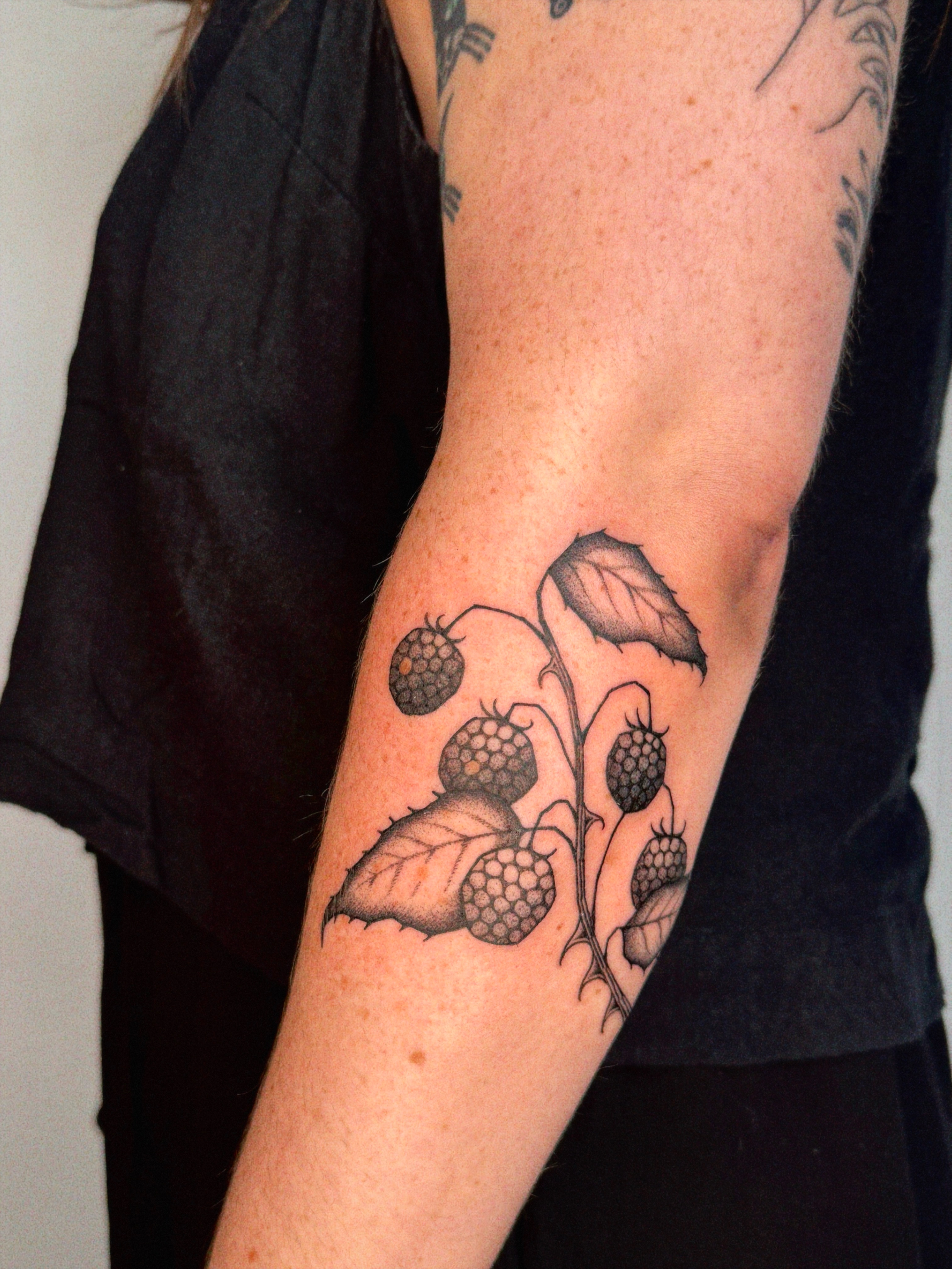 Raspberry plant black and grey tattoo on the forearm by @inkshame