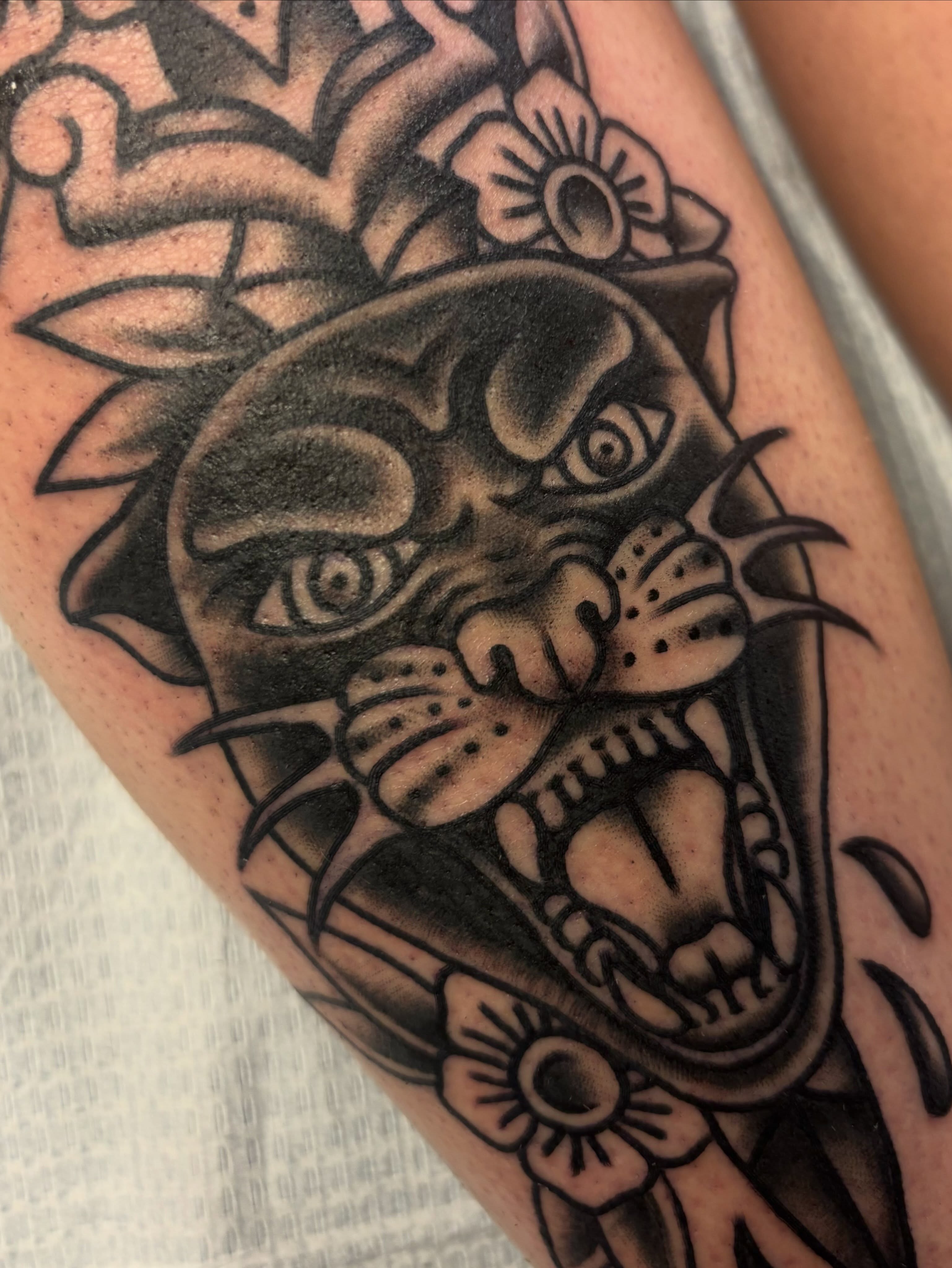 Panther head American traditional tattoo on the forearm by Alex Green, Nashville, Tennessee