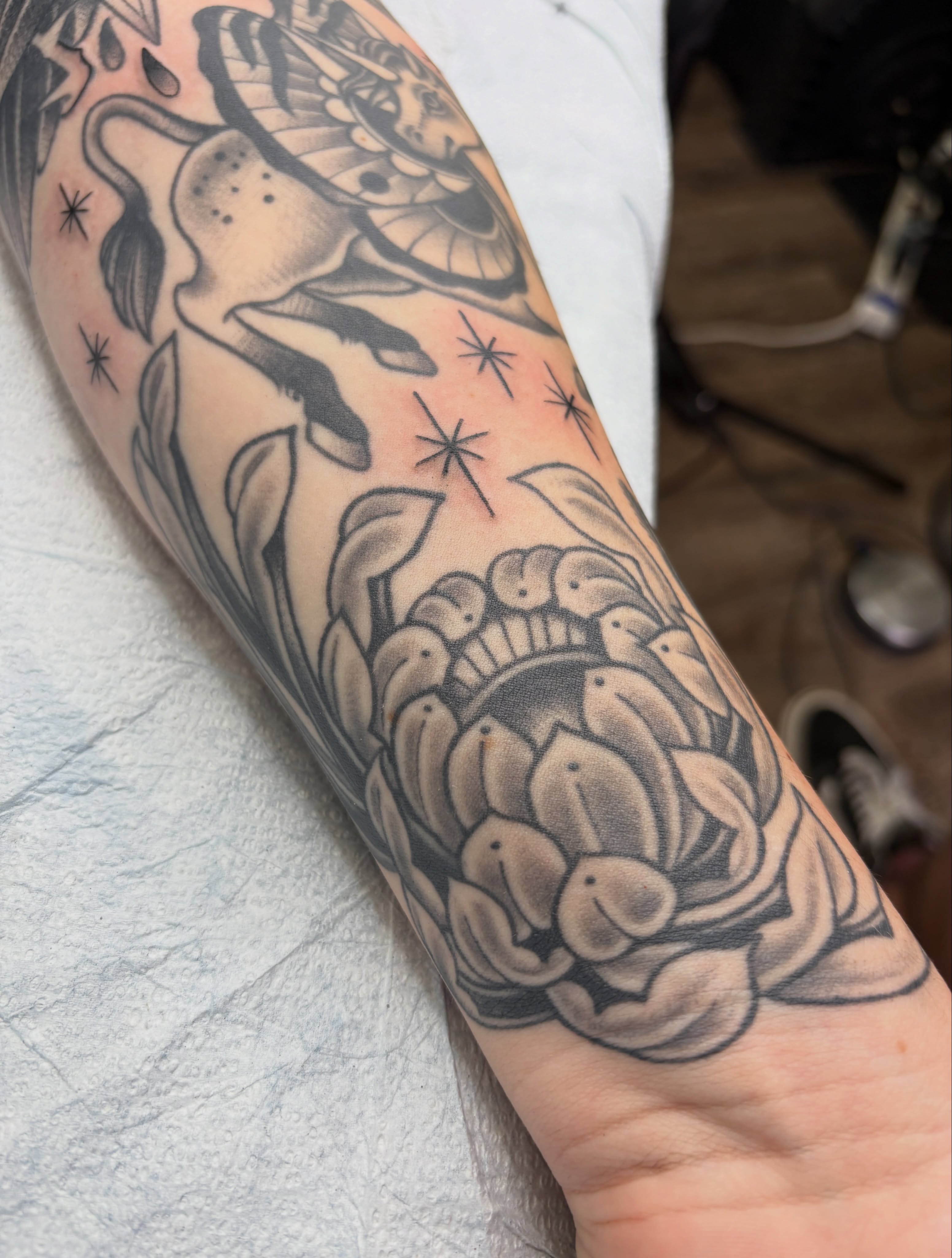 Lotus flower American traditional tattoo on the forearm by Josh Johns