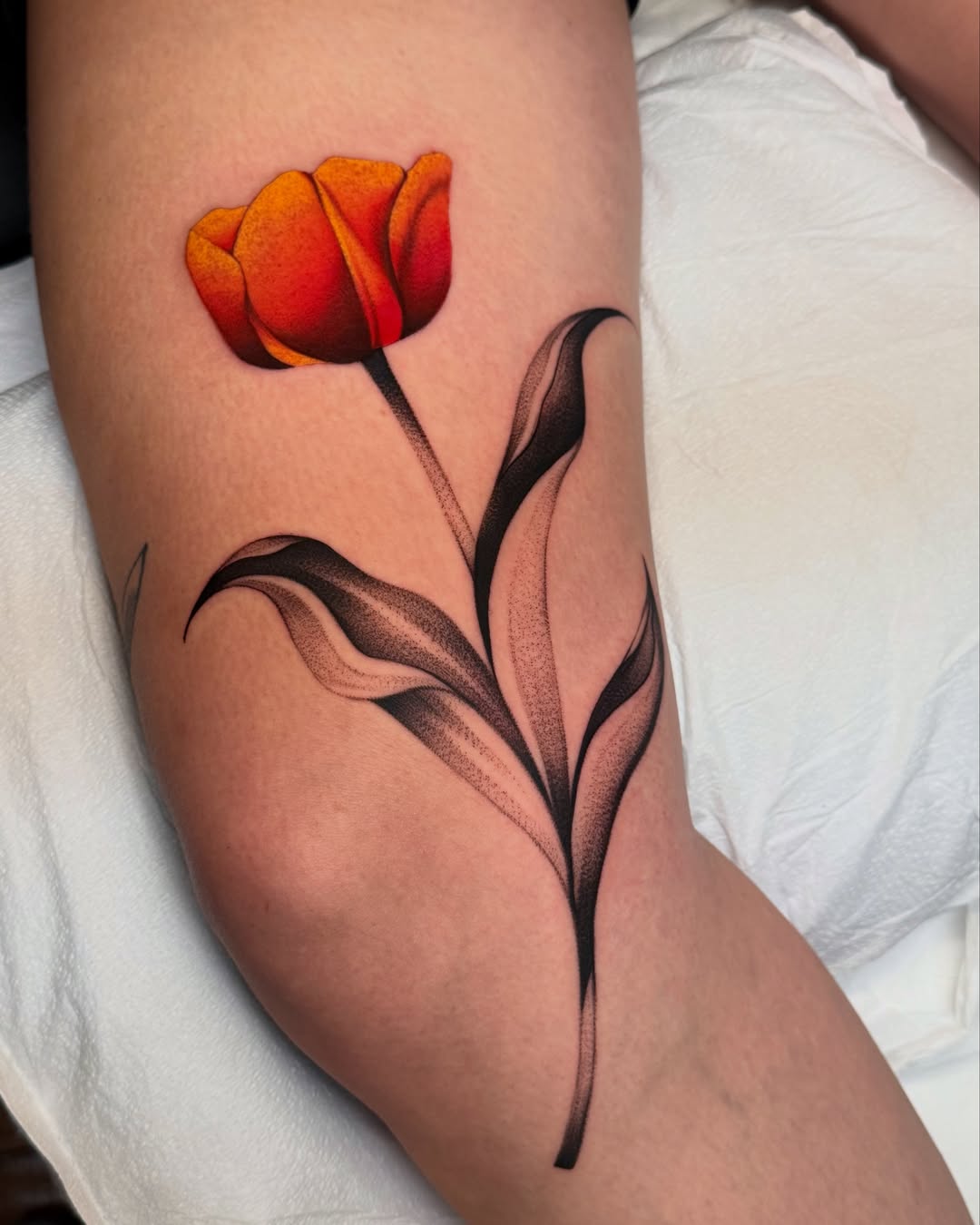Tulip dotwork tattoo on the forearm by laura baldwin