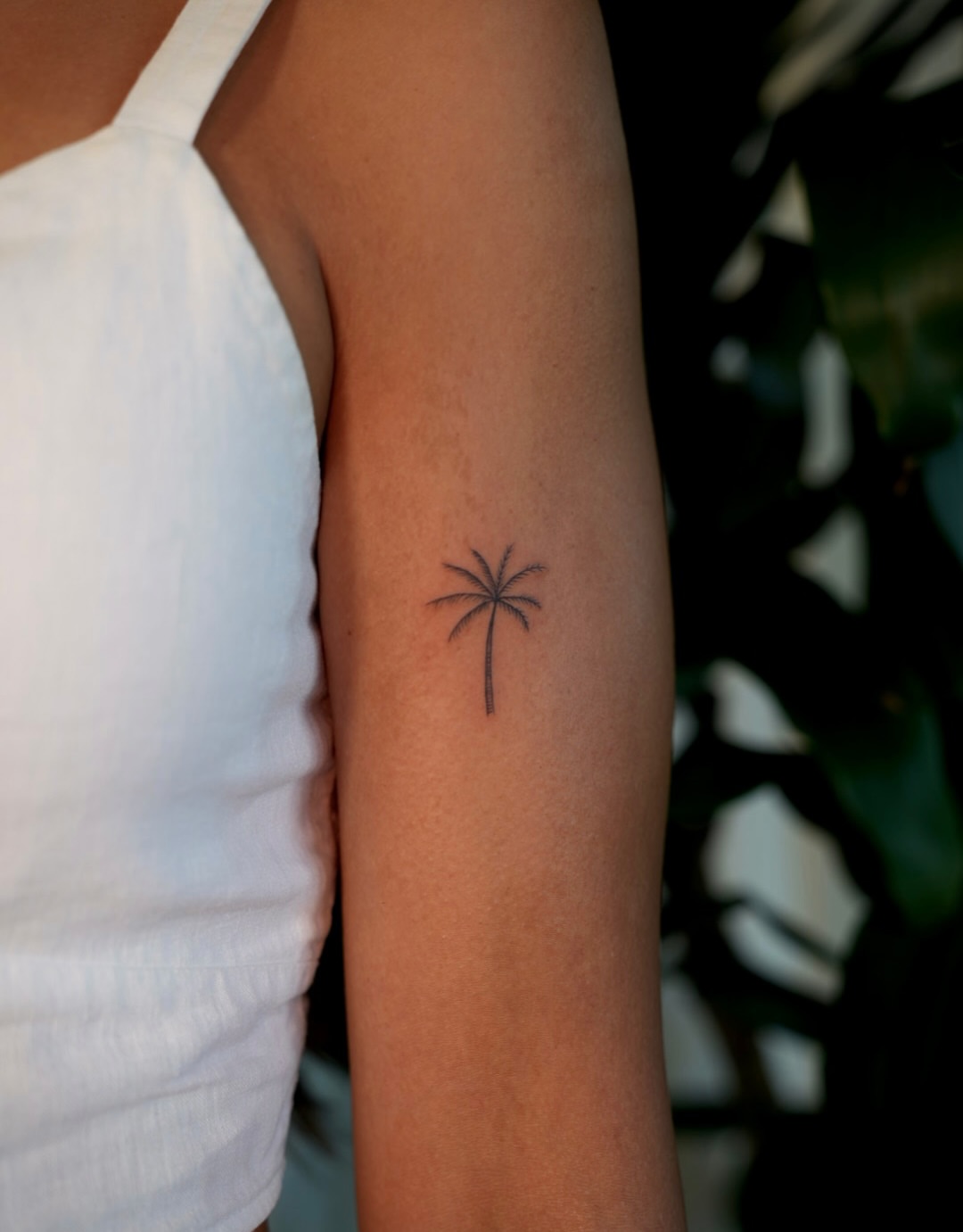 Palm tree minimalist tattoo on the forearm by 🤍 Sarah 🖤